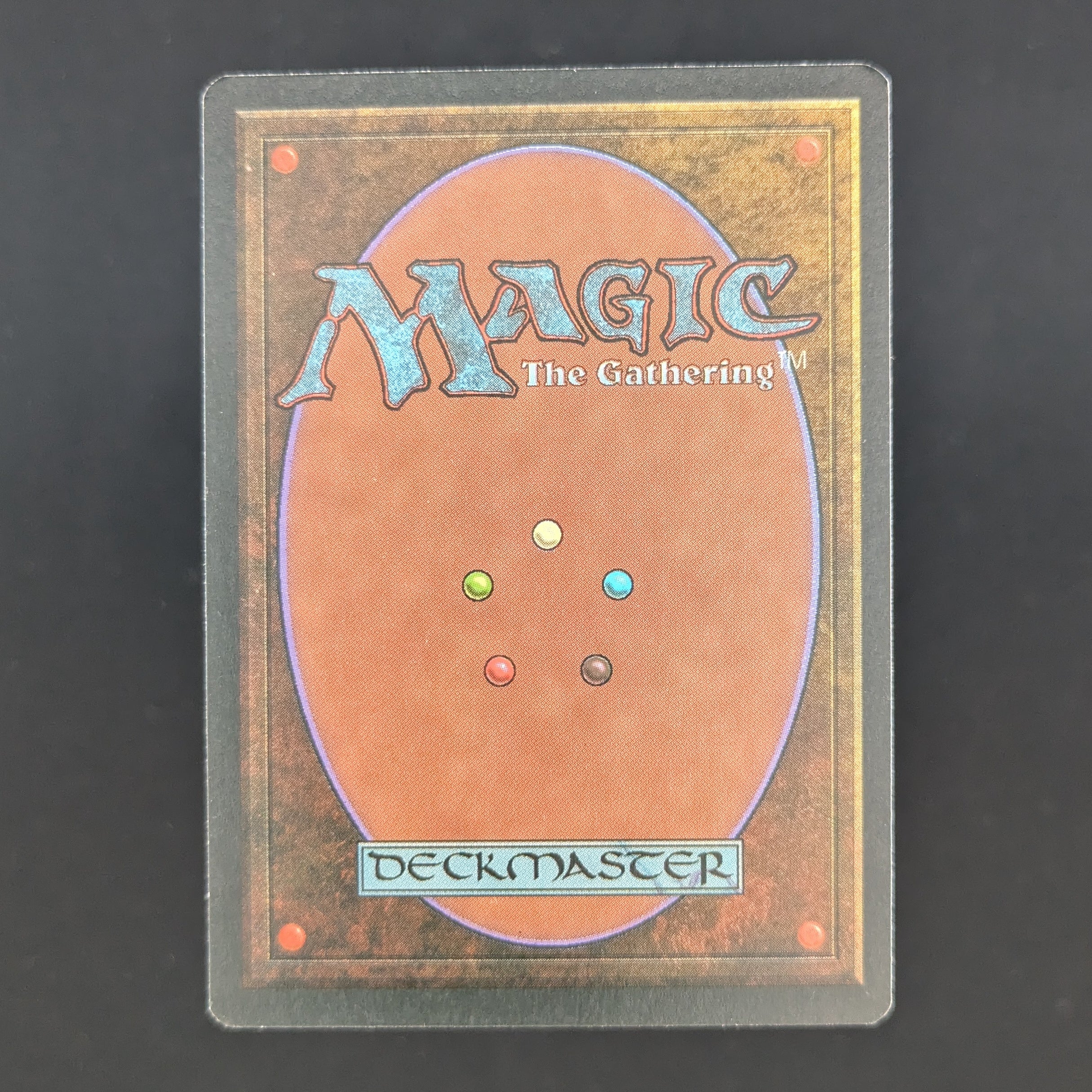MTG Singles - Taiga - Foreign White Bordered - 