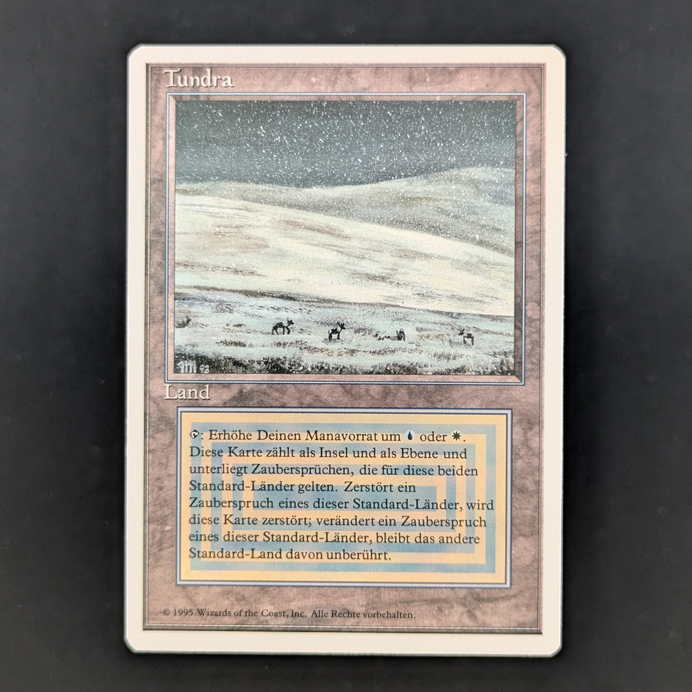 MTG Singles - Tundra - Foreign White Bordered - German - NM - 35213