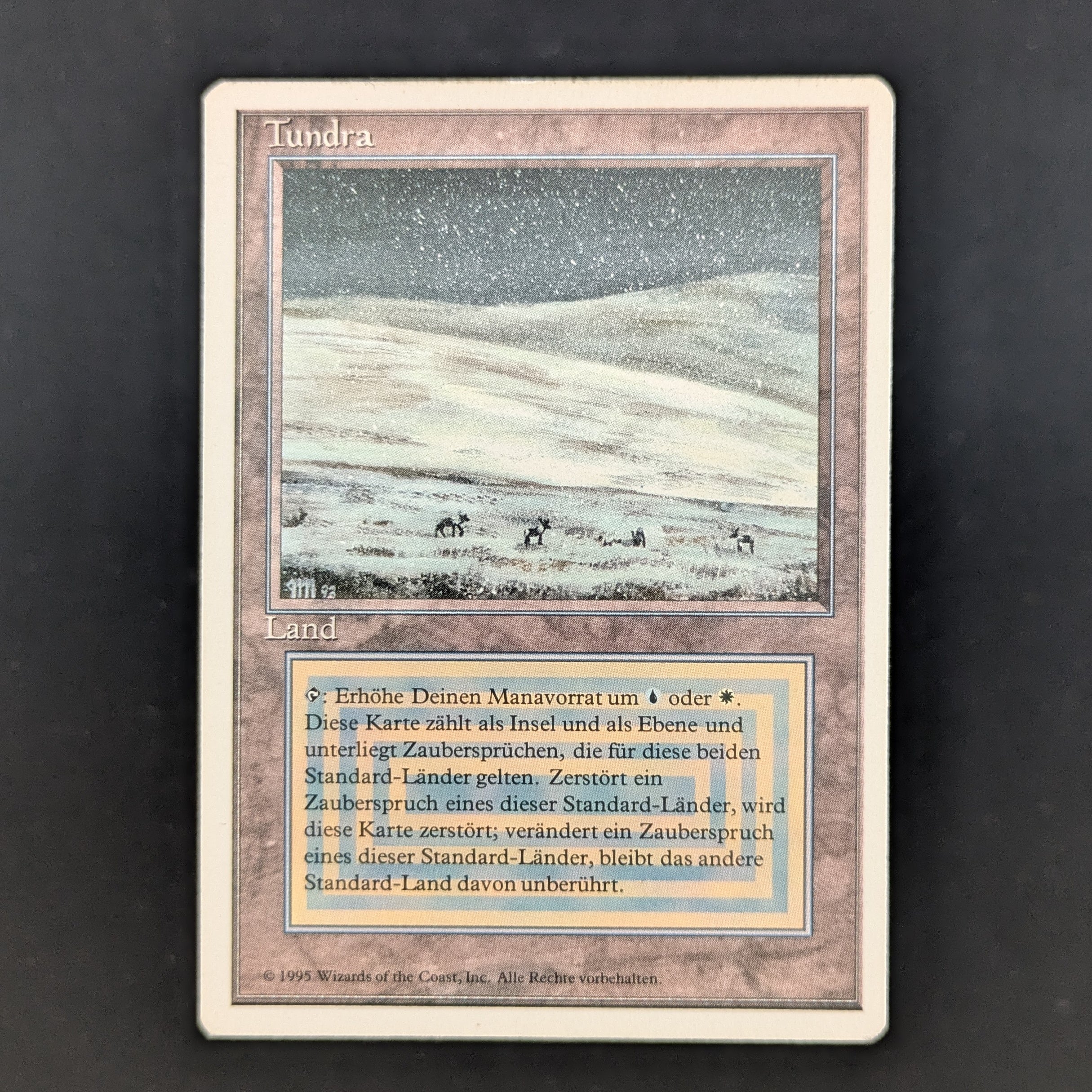 MTG Singles - Tundra - Foreign White Bordered - German - EX - 35214