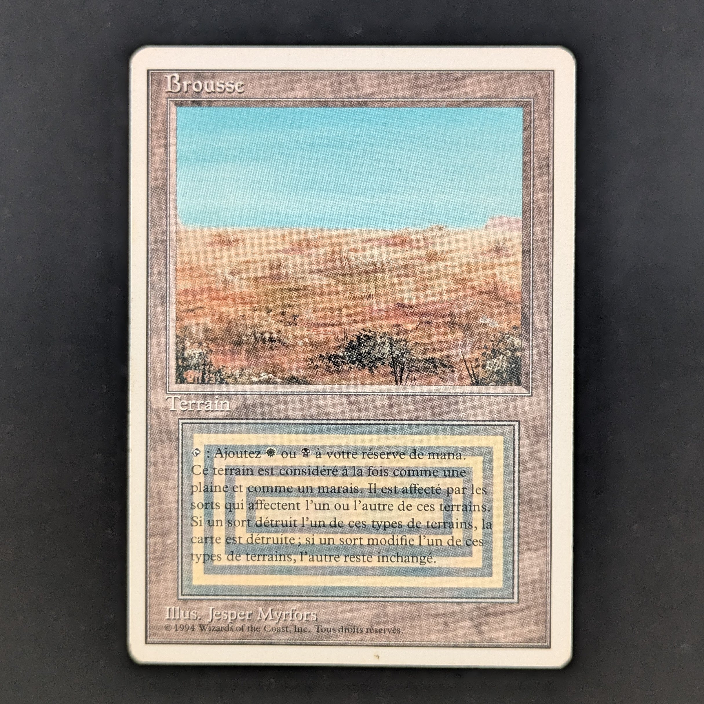 MTG Singles - Scrubland - Foreign White Bordered - French - LP - 35234