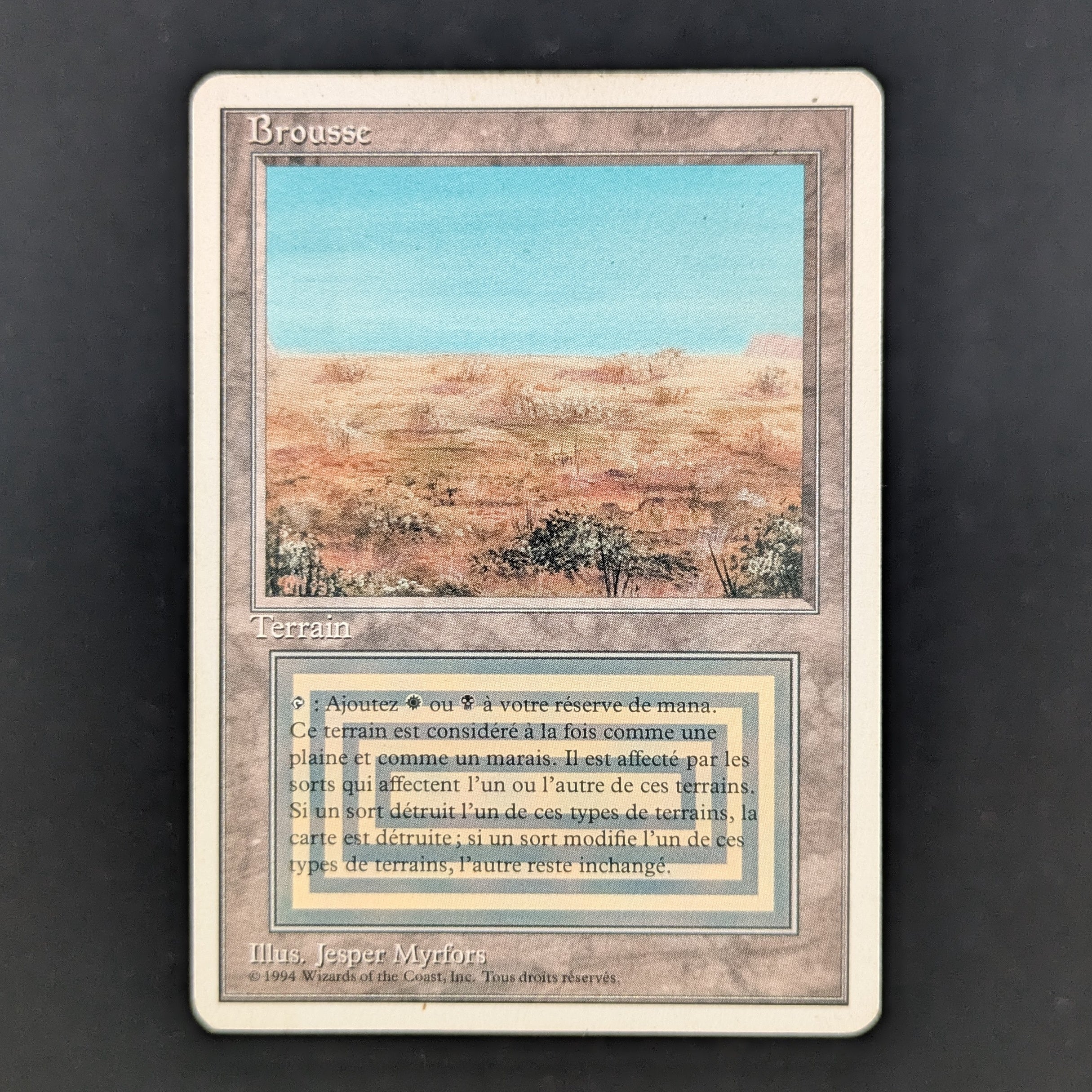 MTG Singles - Scrubland - Foreign White Bordered - French - PL - 35235
