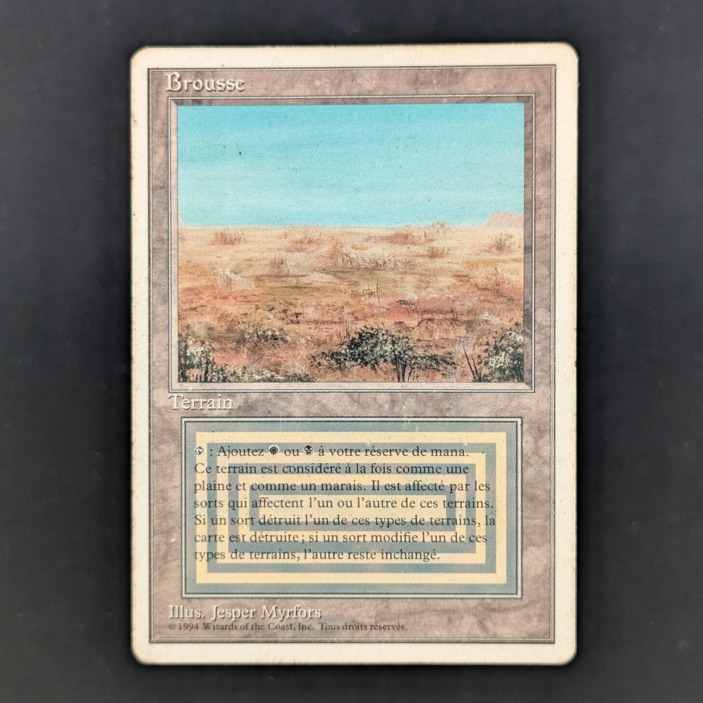 MTG Singles - Scrubland - Foreign White Bordered - French - PL - 35236
