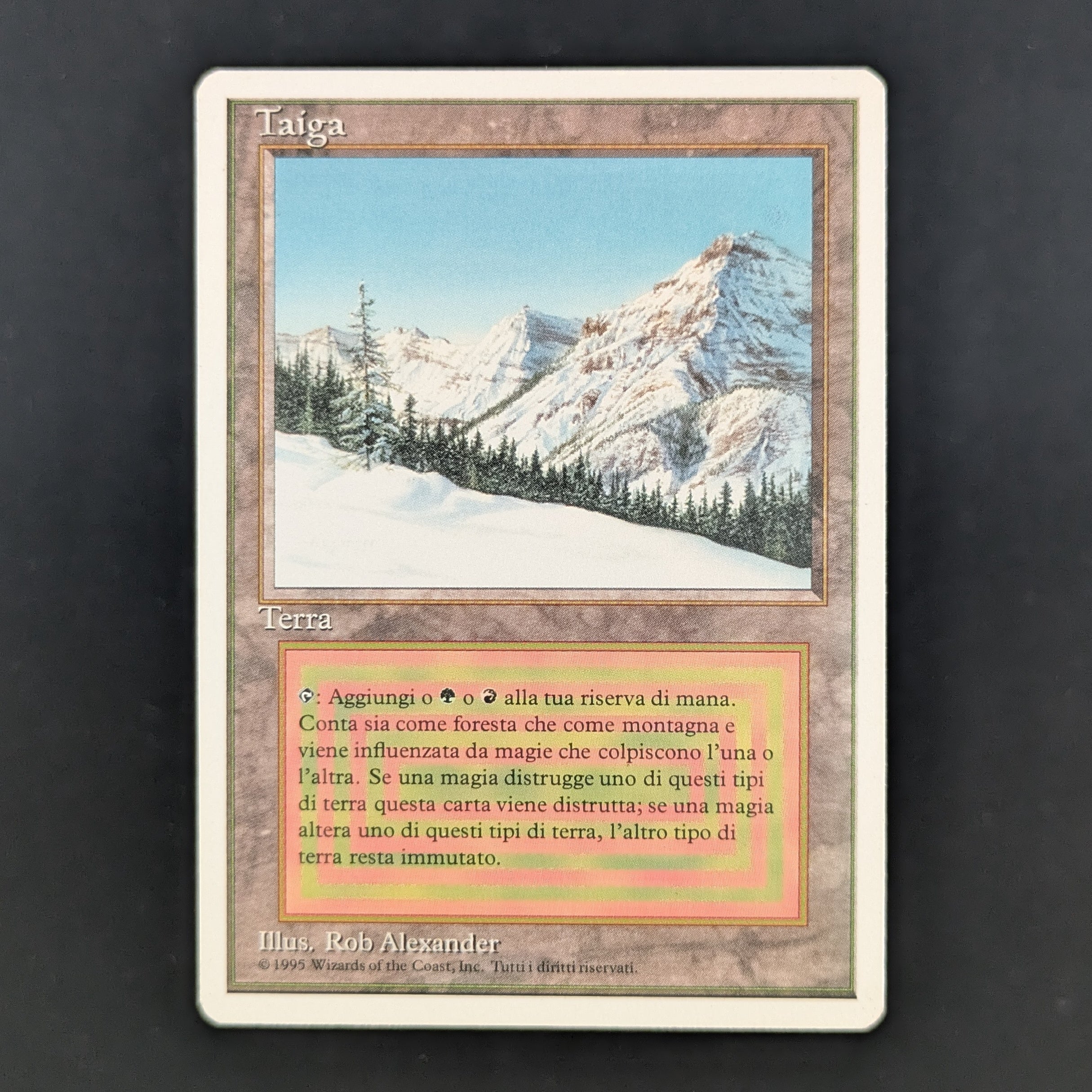 MTG Singles - Taiga - Foreign White Bordered - Italian - EX - 35240