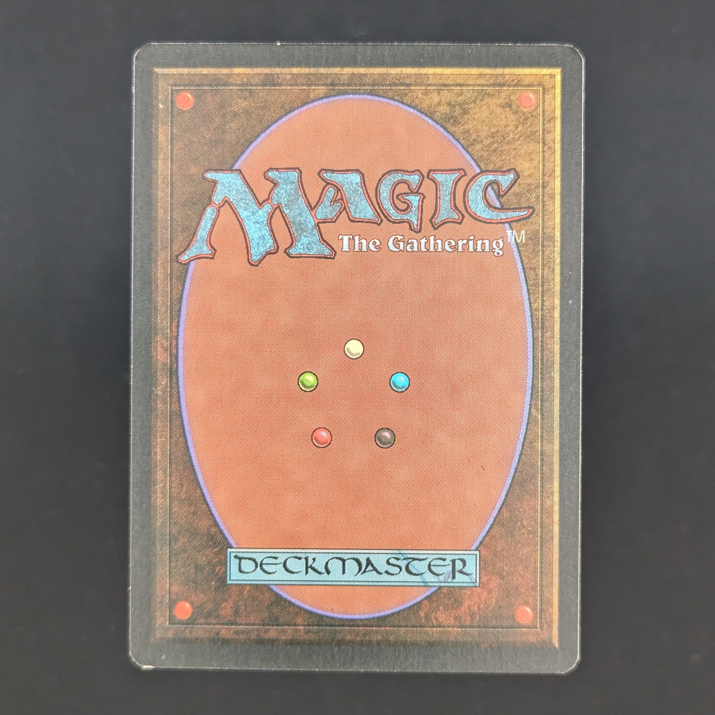 MTG Singles - Taiga - Foreign White Bordered - 