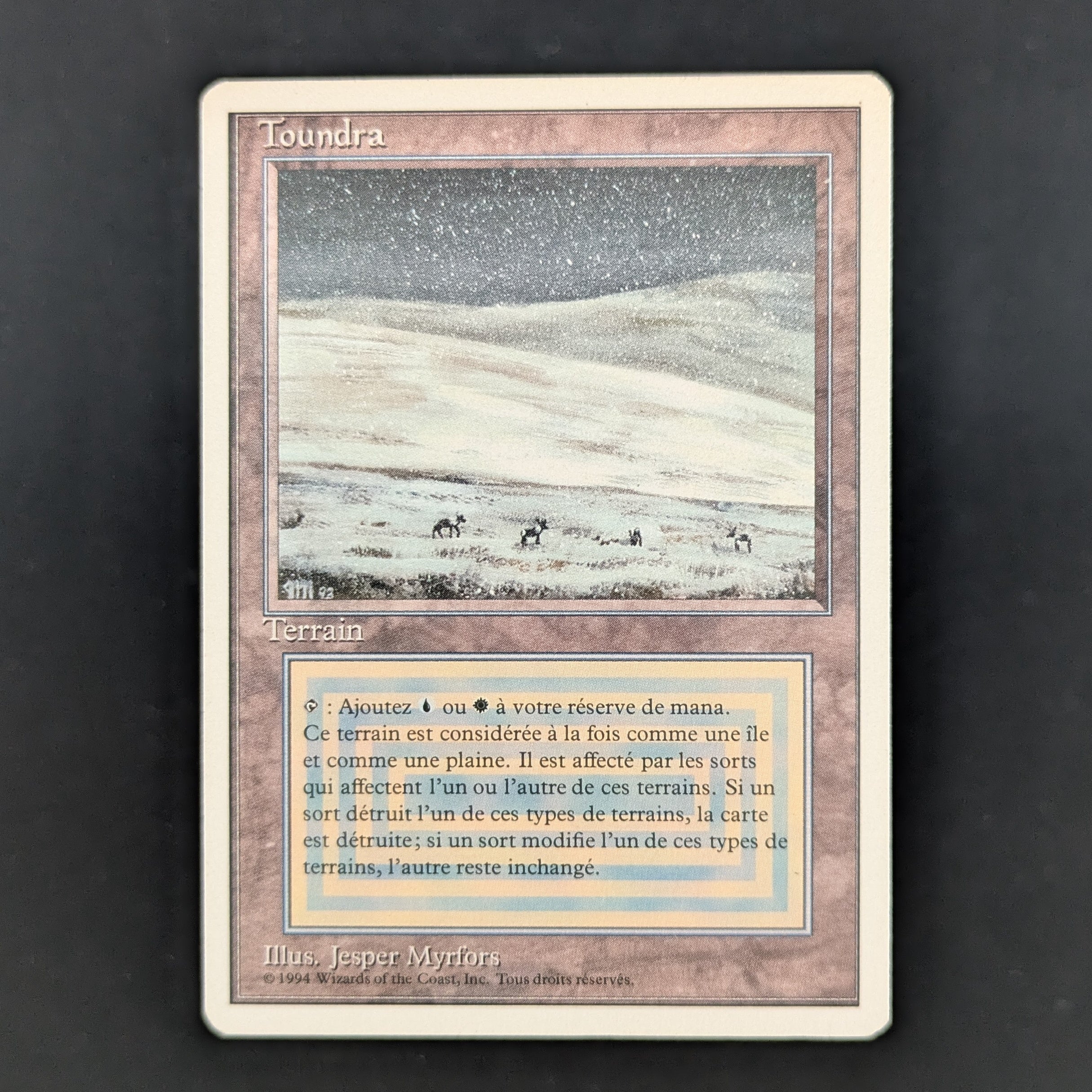 MTG Singles - Tundra - Foreign White Bordered - French - GD - 35244