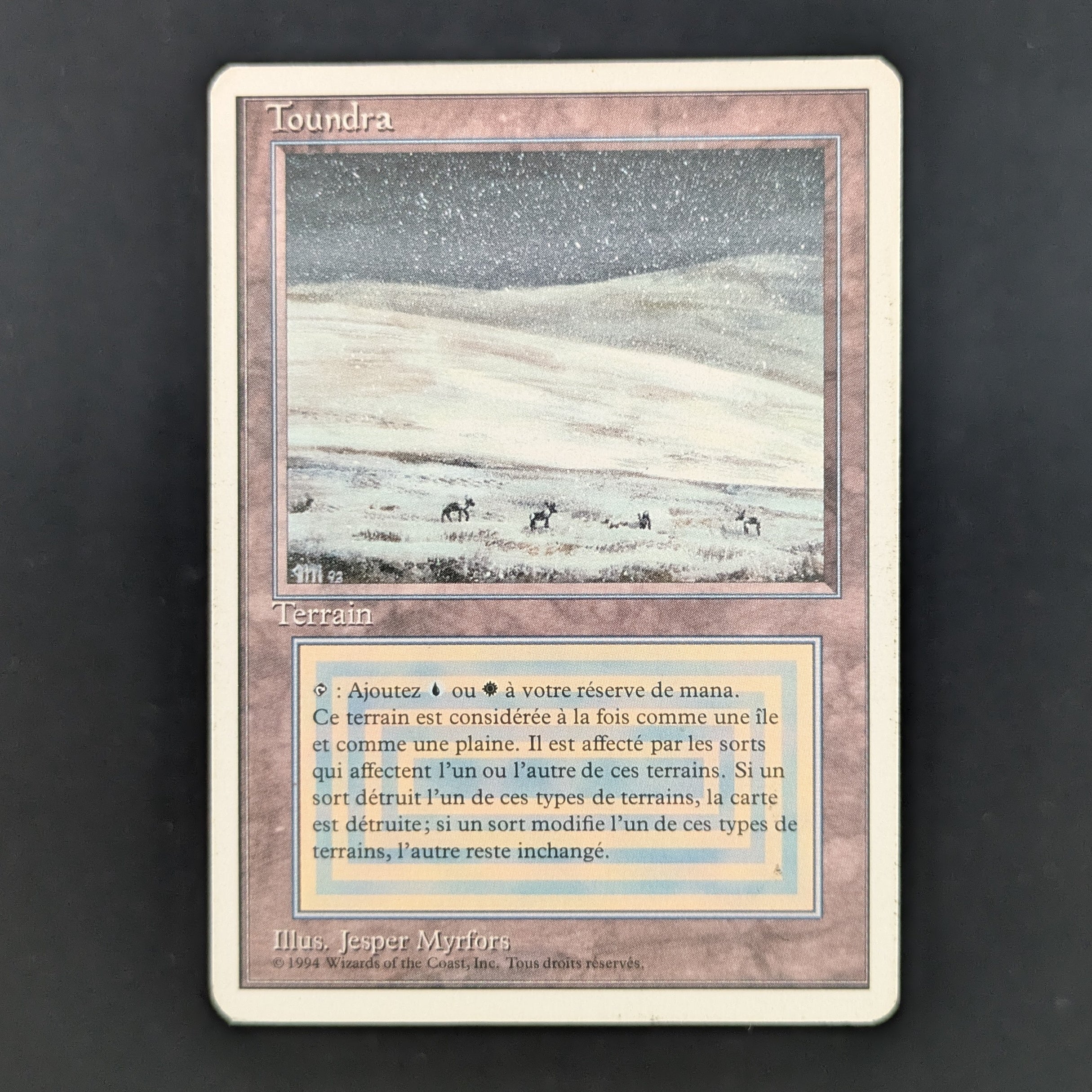 MTG Singles - Tundra - Foreign White Bordered - French - PL - 35247