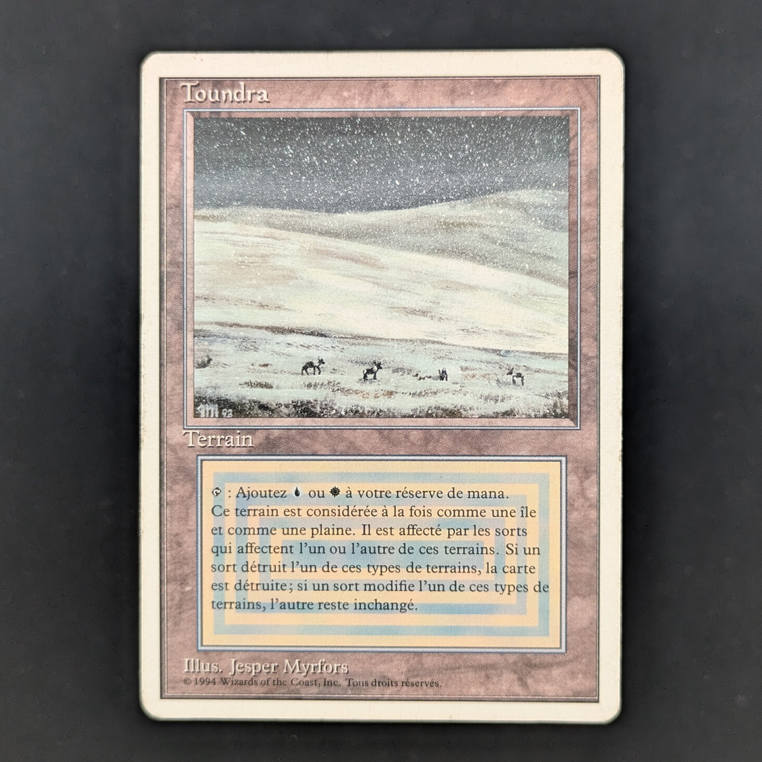 MTG Singles - Tundra - Foreign White Bordered - French - PL - 35248