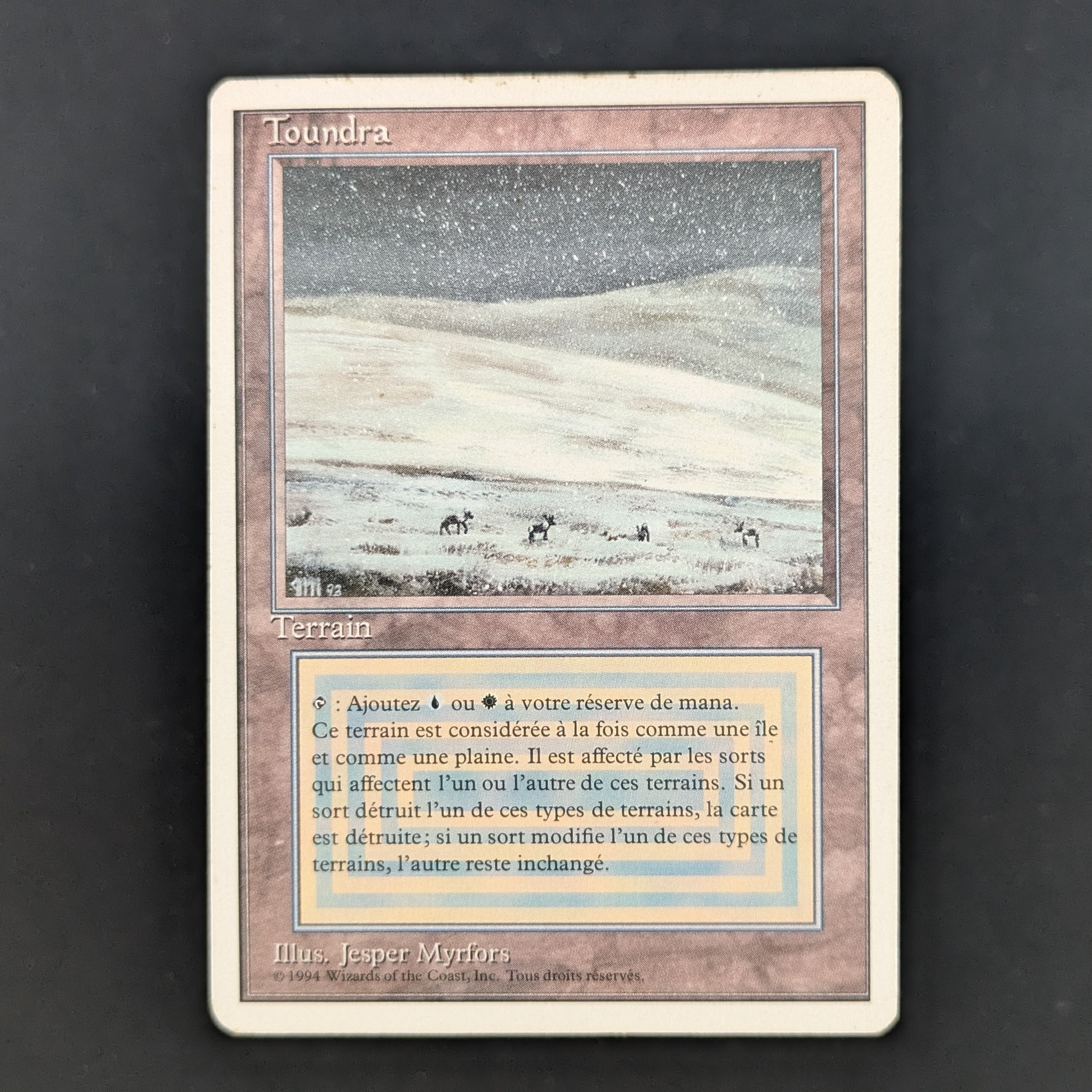 MTG Singles - Tundra - Foreign White Bordered - French - PO - INKED - 35250