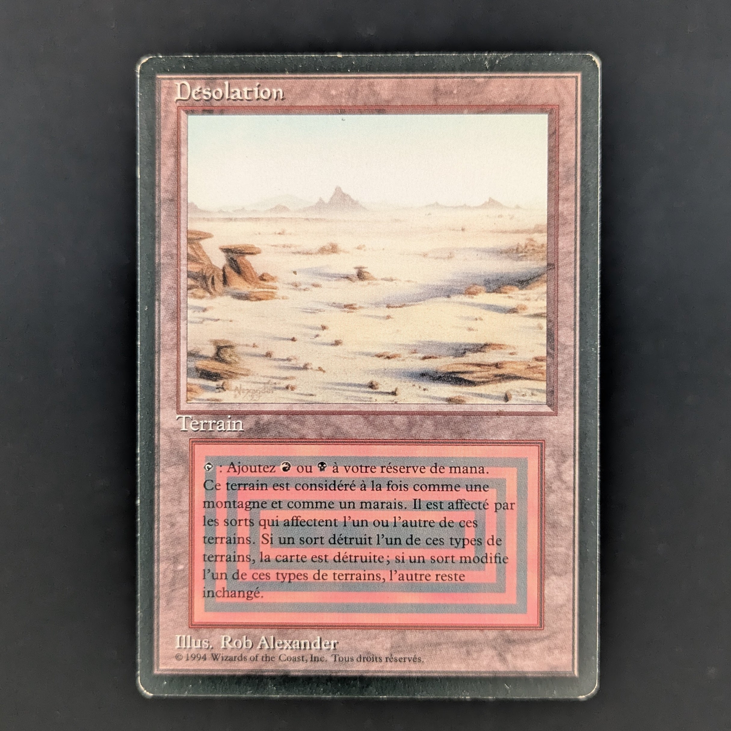 MTG Singles - Badlands - Foreign Black Bordered - French - GD - 35262