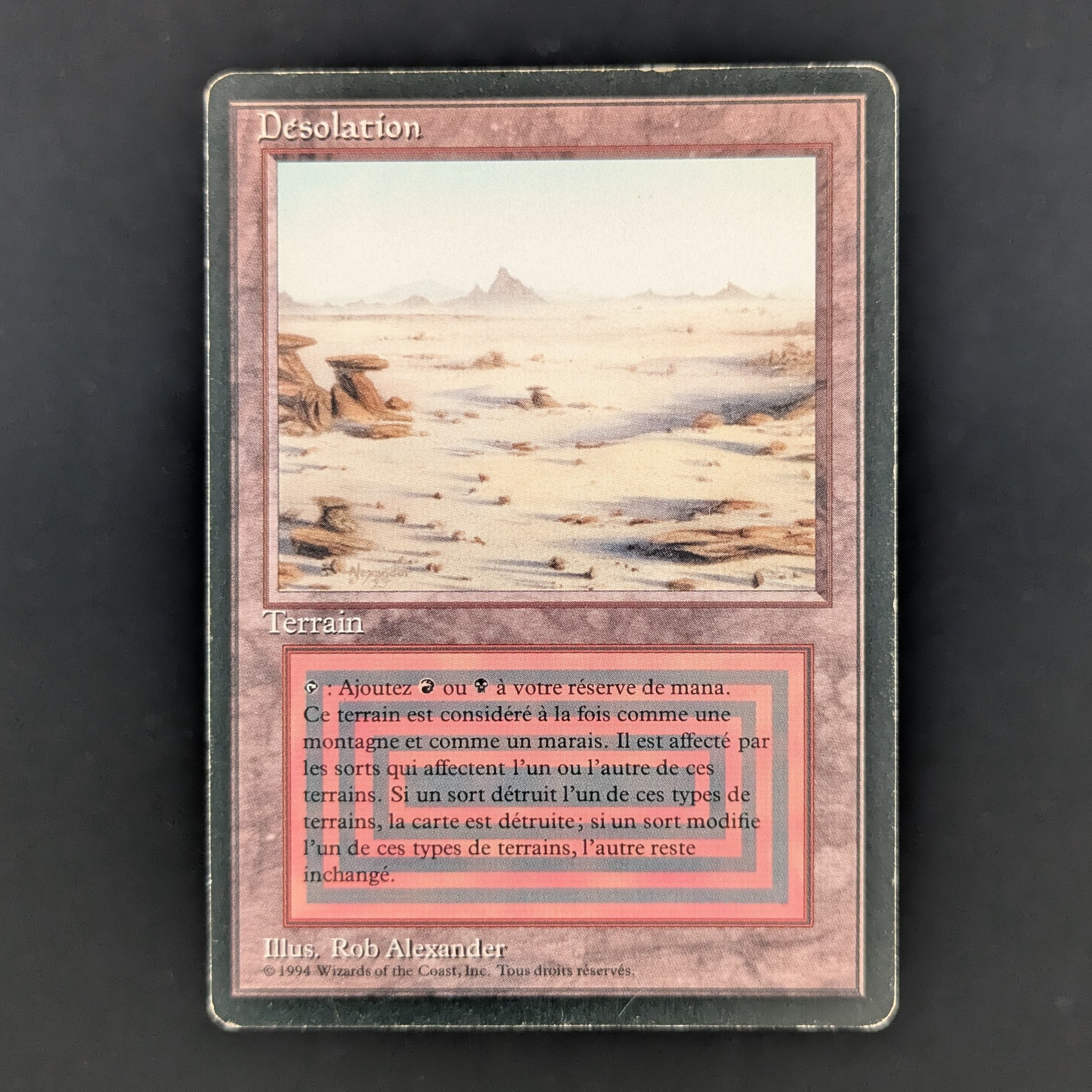 MTG Singles - Badlands - Foreign Black Bordered - French - PL - 35263