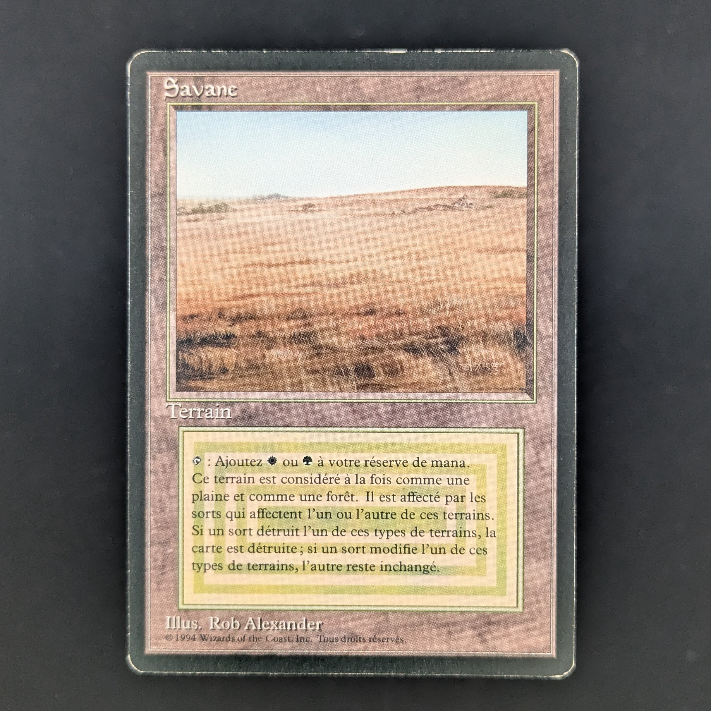 MTG Singles - Savannah - Foreign Black Bordered - French - LP - 35274