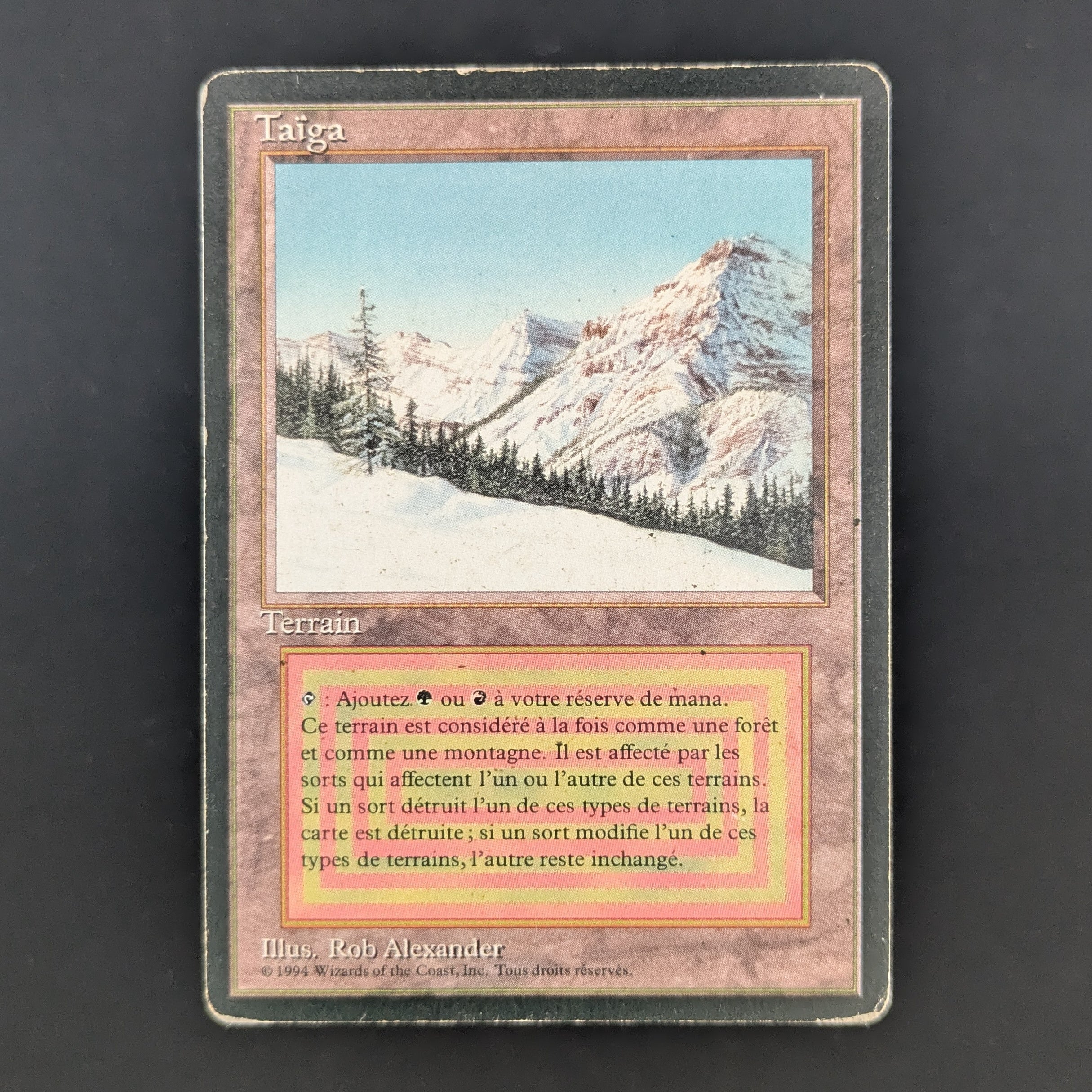 MTG 仏語黒枠 Taiga Taiga - Foreign Black Bordered