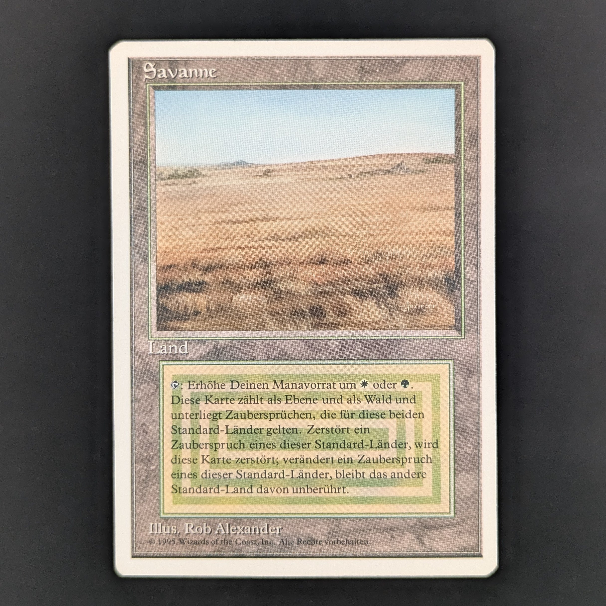 Savannah - Foreign White Bordered