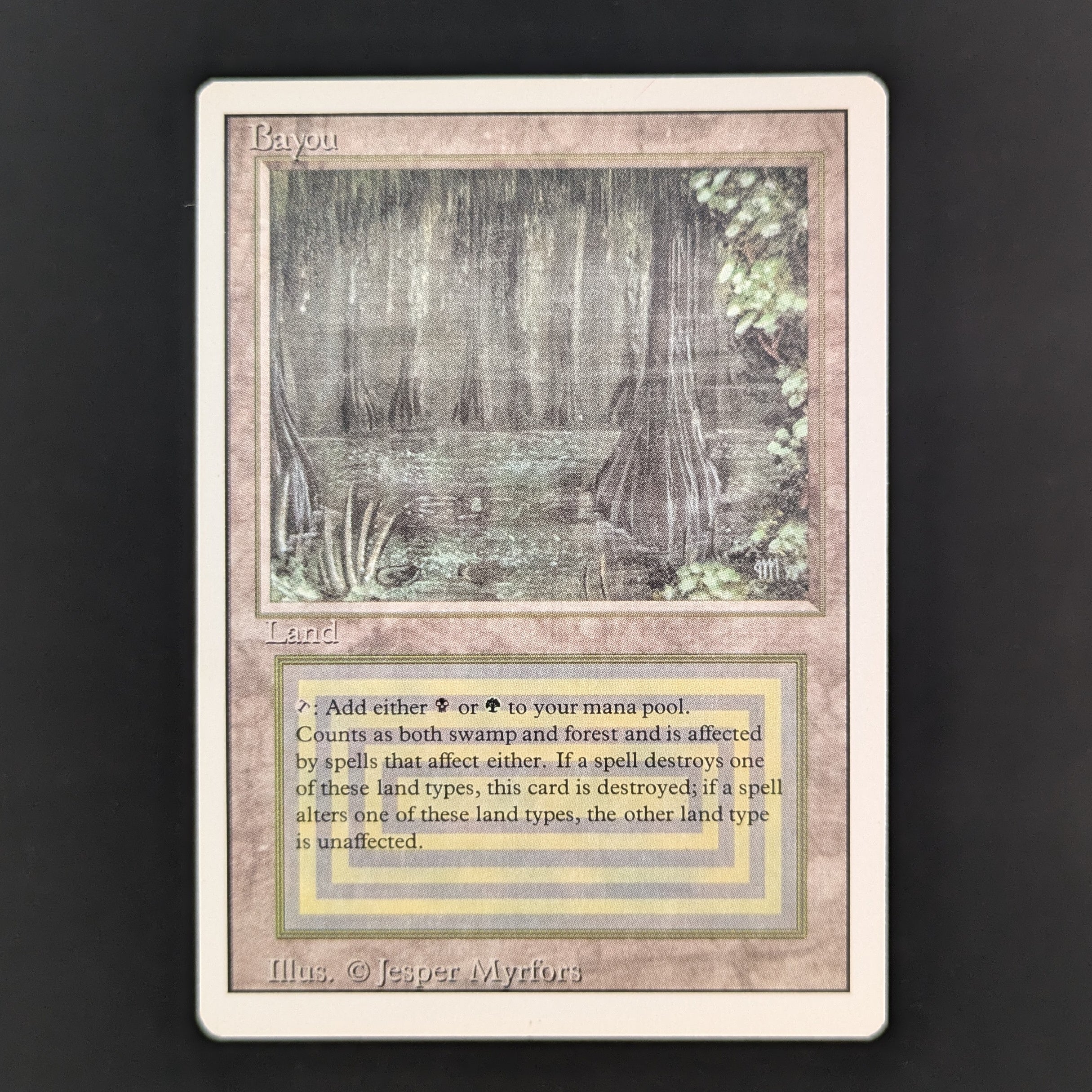Bayou - Revised