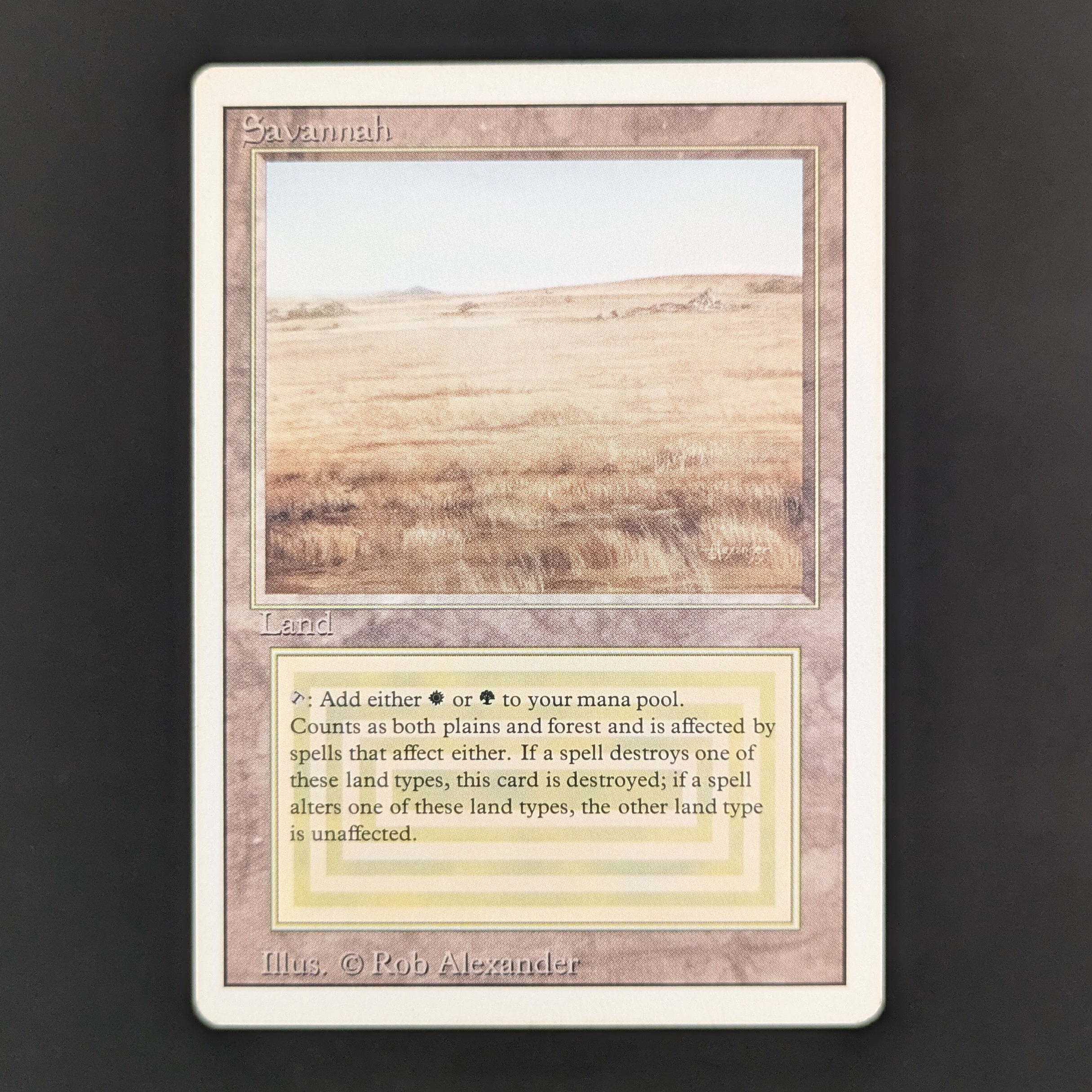 MTG Singles - Savannah - Revised - GD - 35543