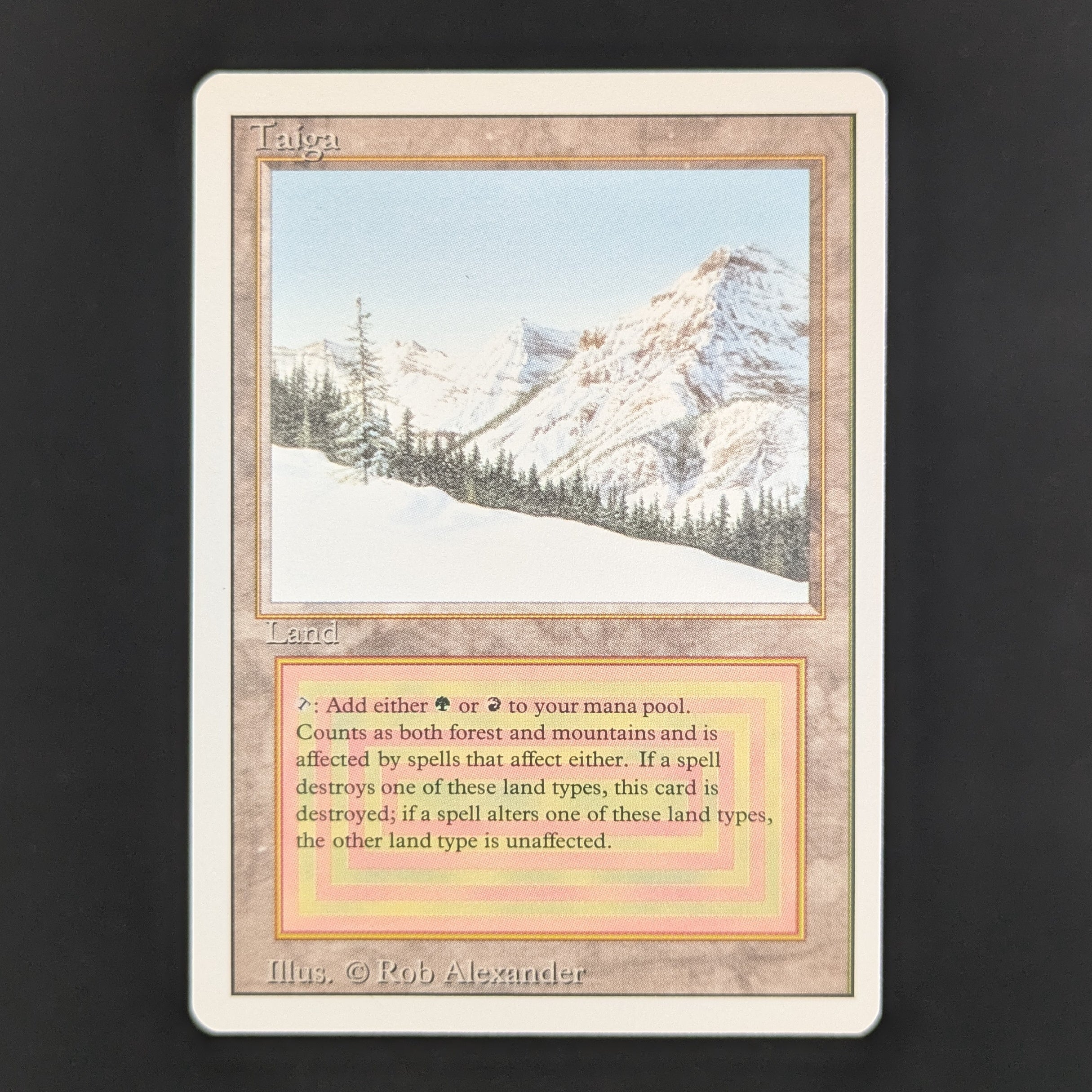 MTG Singles - Taiga - Revised - NM - 35550