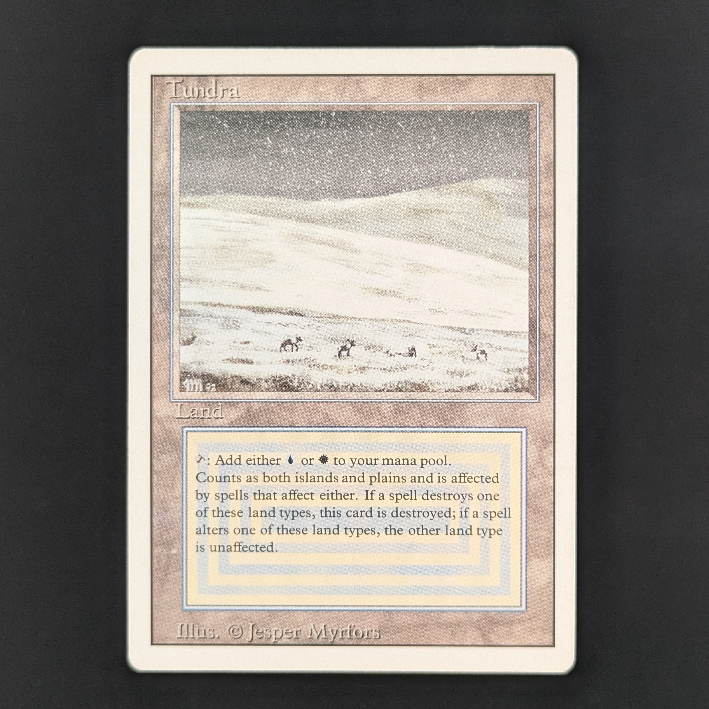 MTG Singles - Tundra - Revised - LP - 35561