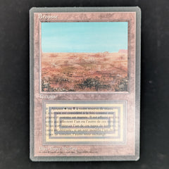 Scrubland - Foreign Black Bordered