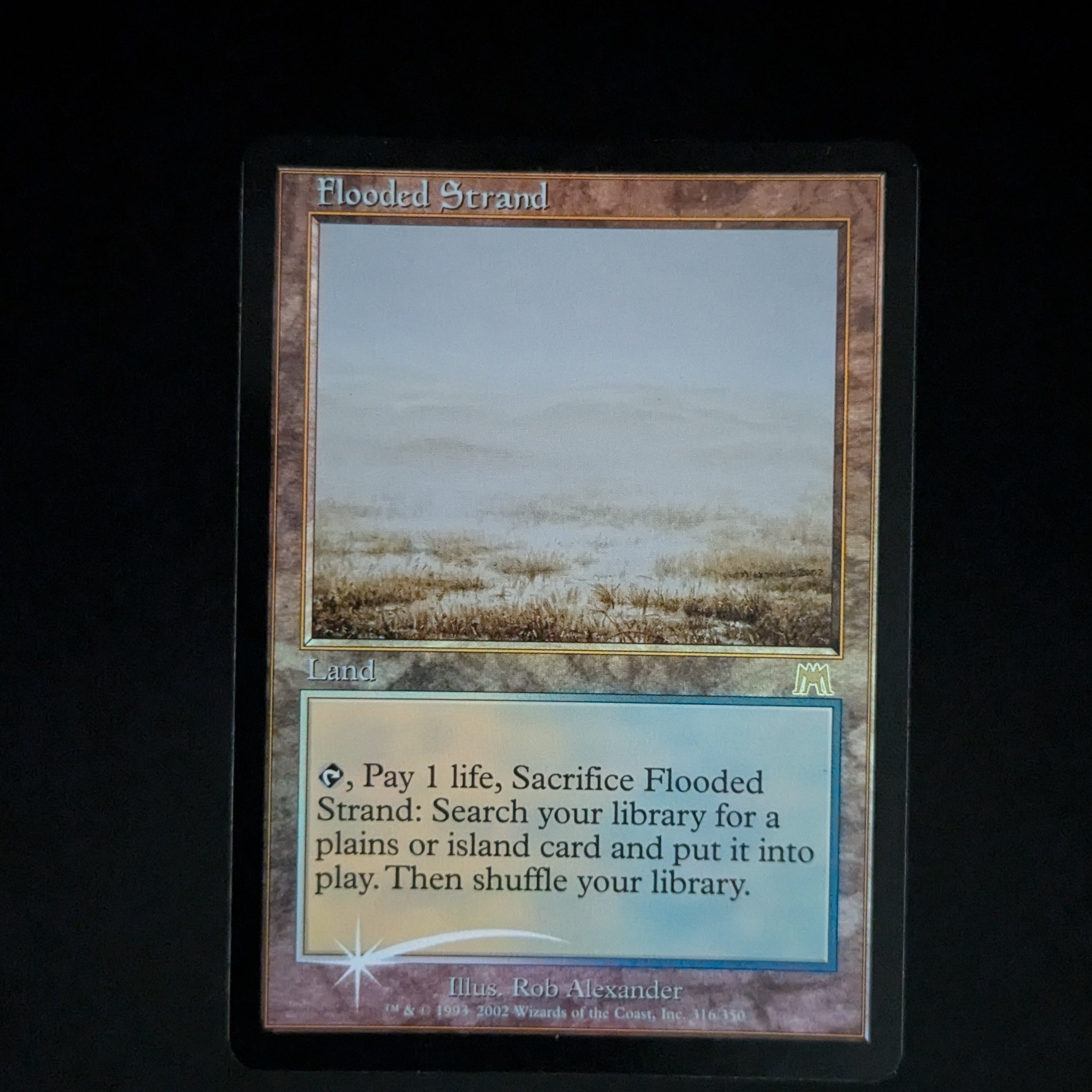 [FOIL] Flooded Strand - Onslaught - English - GD