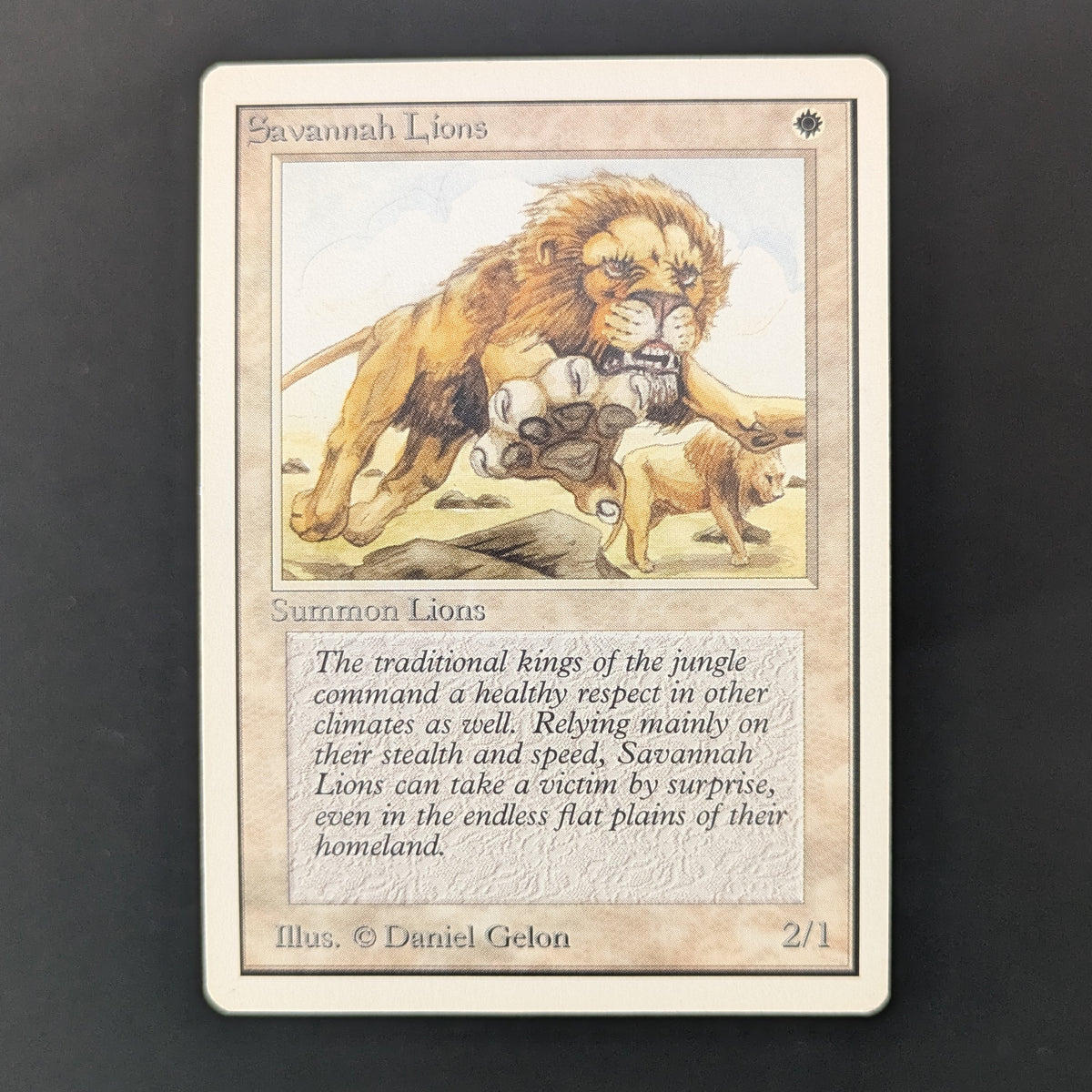 MTG Singles - Savannah Lions - Unlimited - LP - 35913