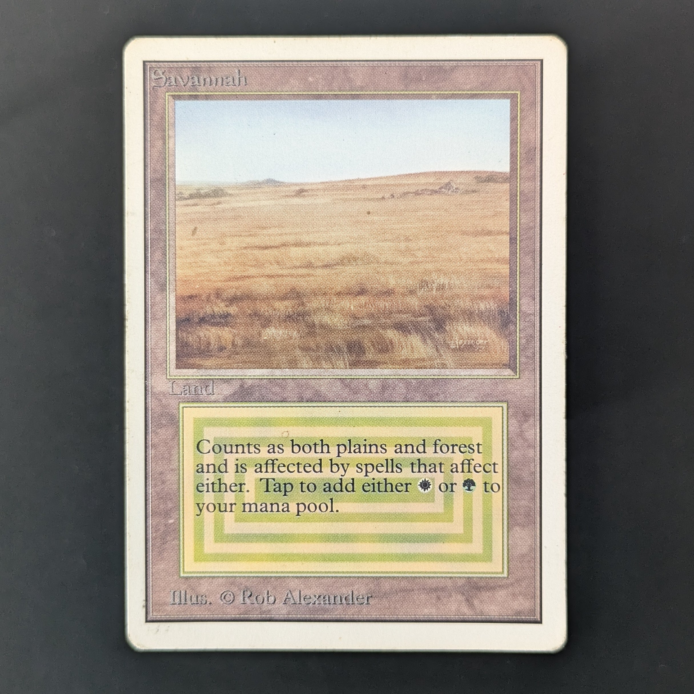MTG Singles - Savannah - Unlimited - PO - 35952