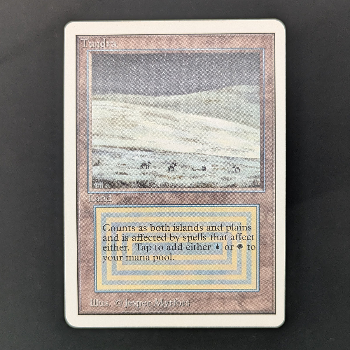 MTG Singles - Tundra - Unlimited - GD - 35965