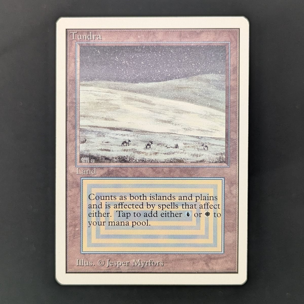 MTG Singles - Tundra - Unlimited - GD - 35966