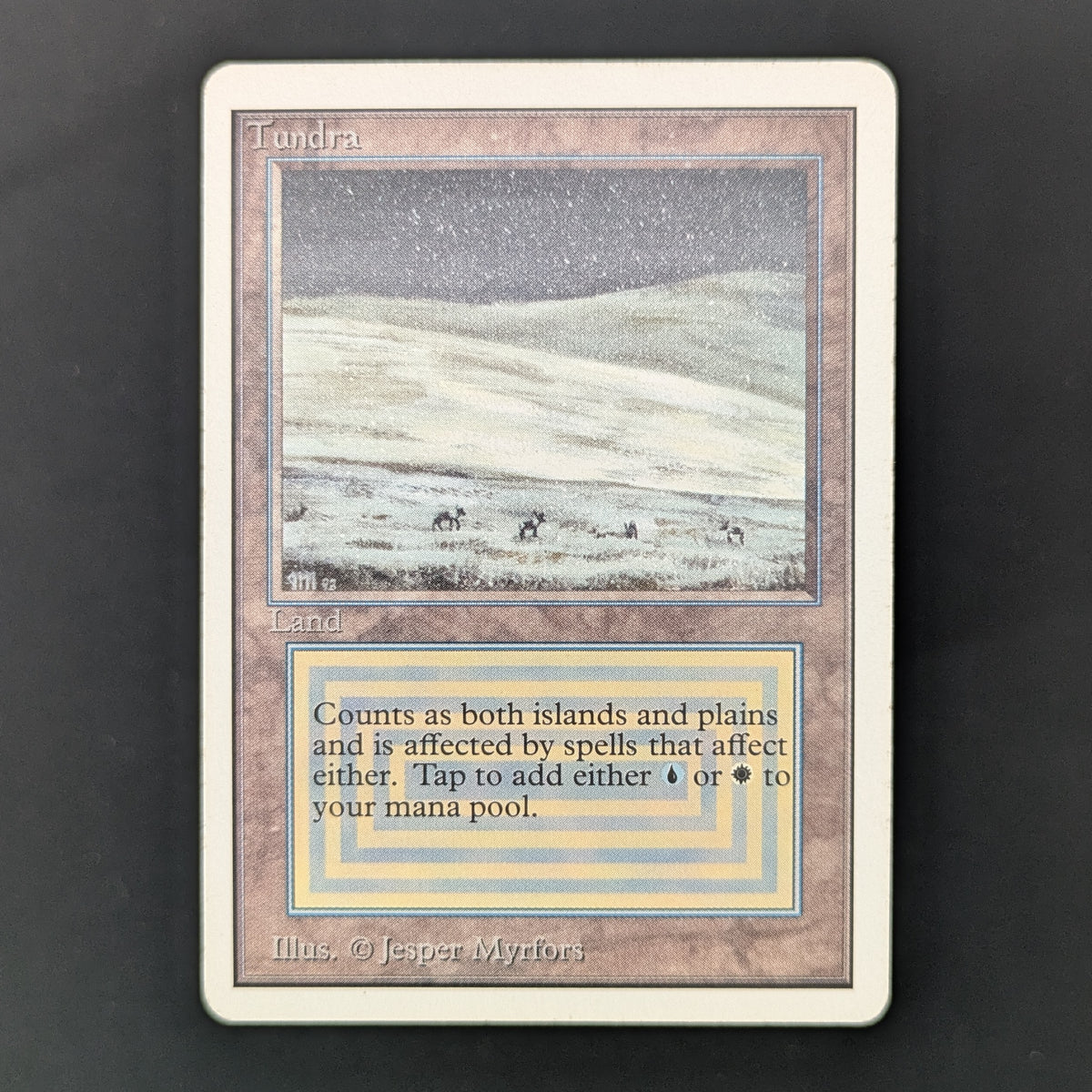 MTG Singles - Tundra - Unlimited - GD - 35967