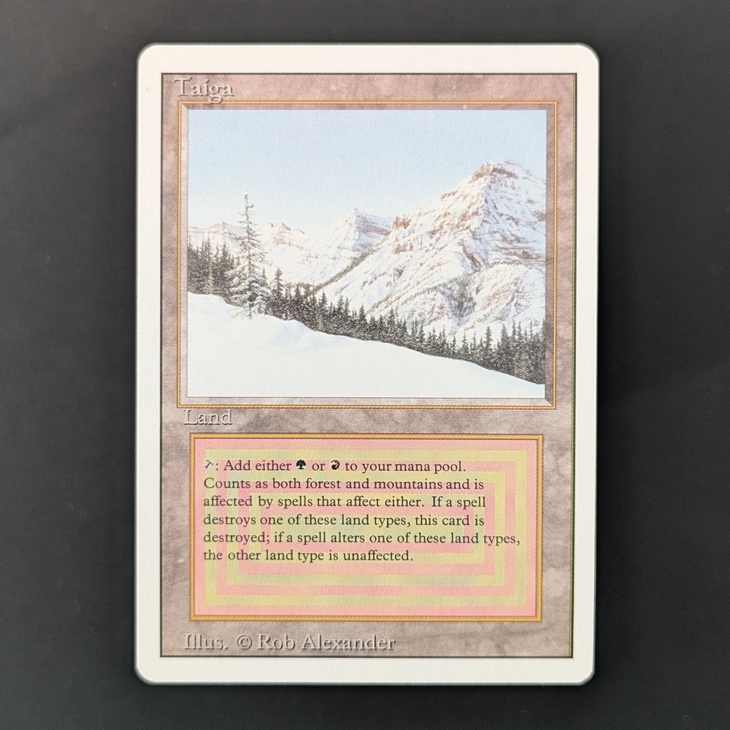 MTG 英語 リバイズド Taiga Taiga - Revised