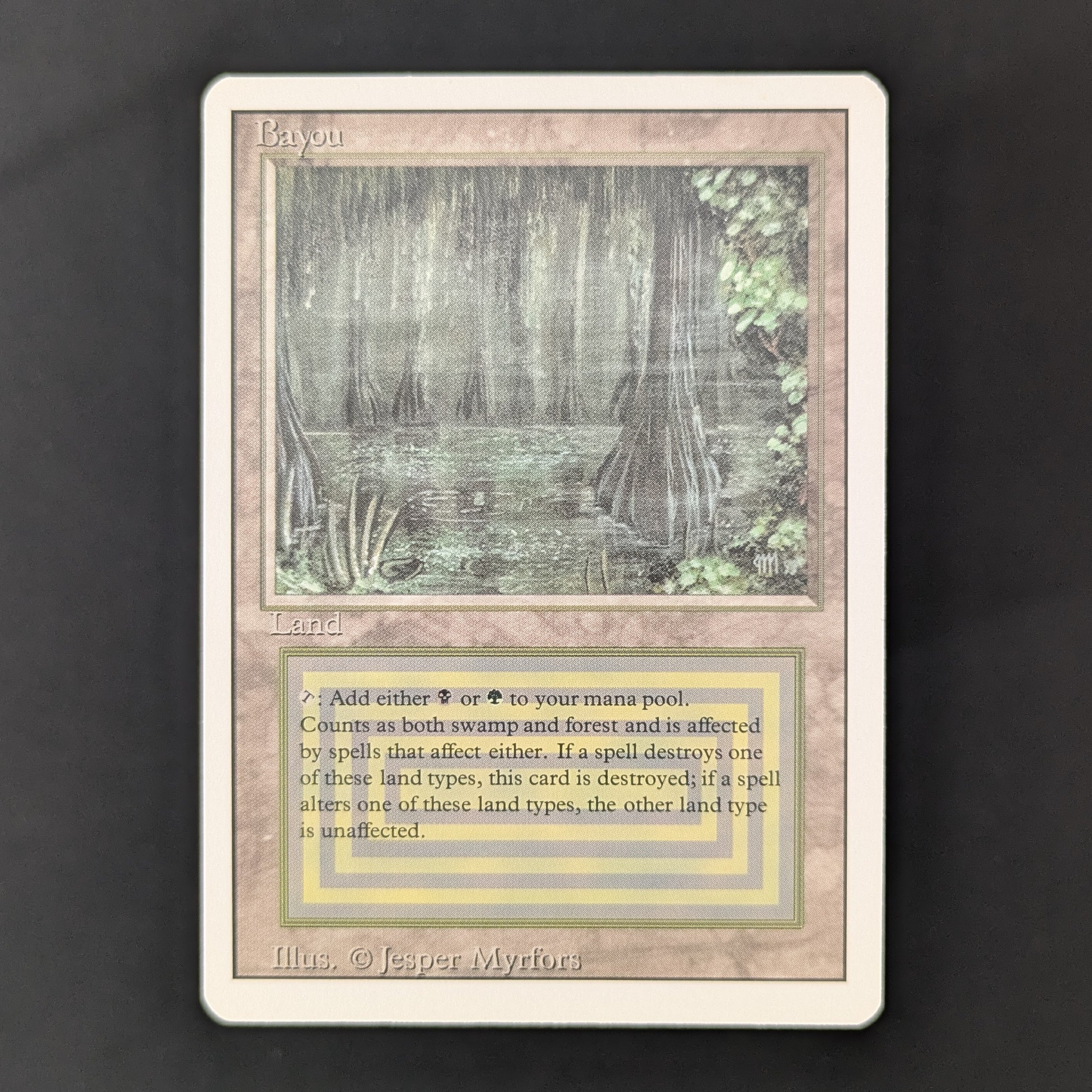 Bayou - Revised