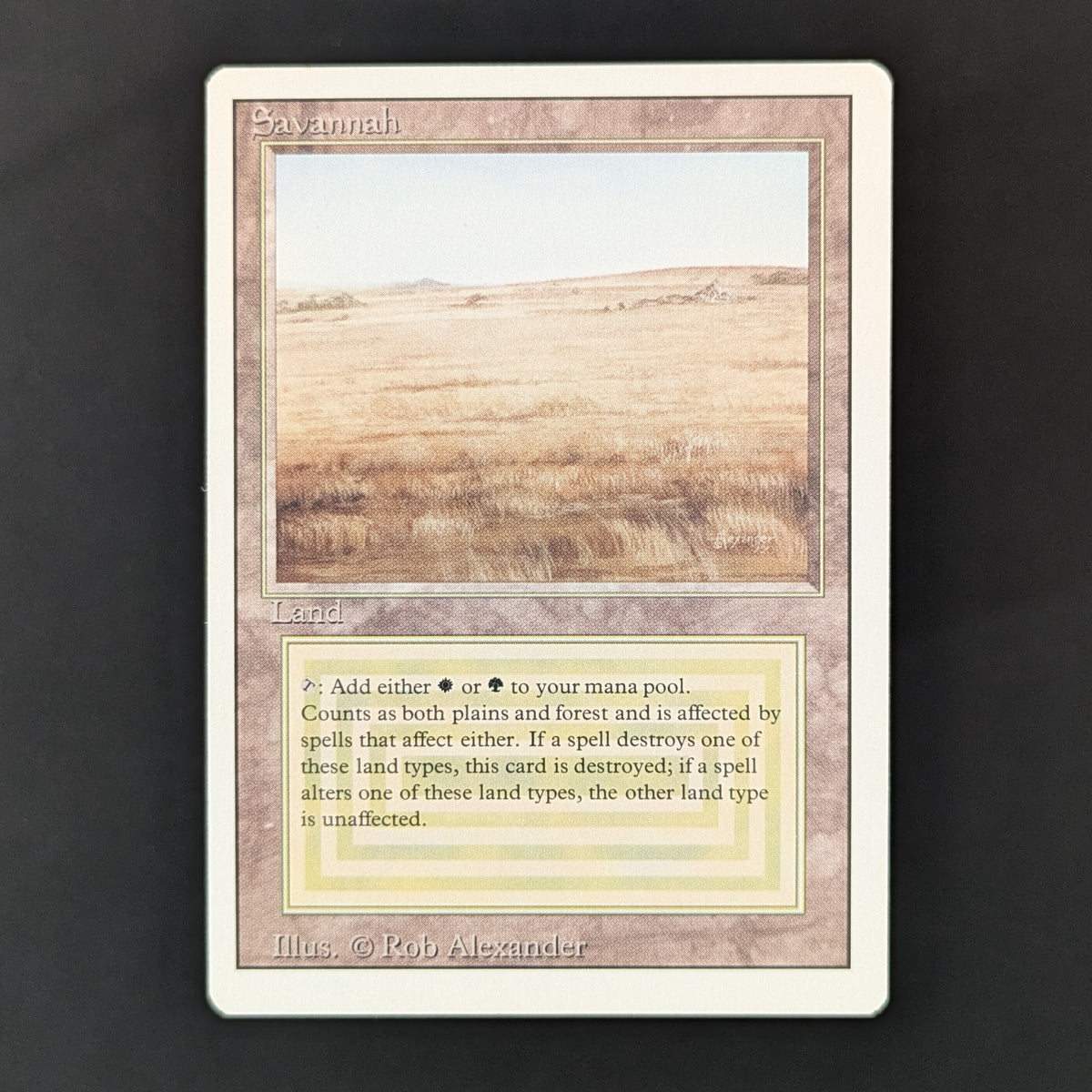 MTG Singles - Savannah - Revised - GD - 36216