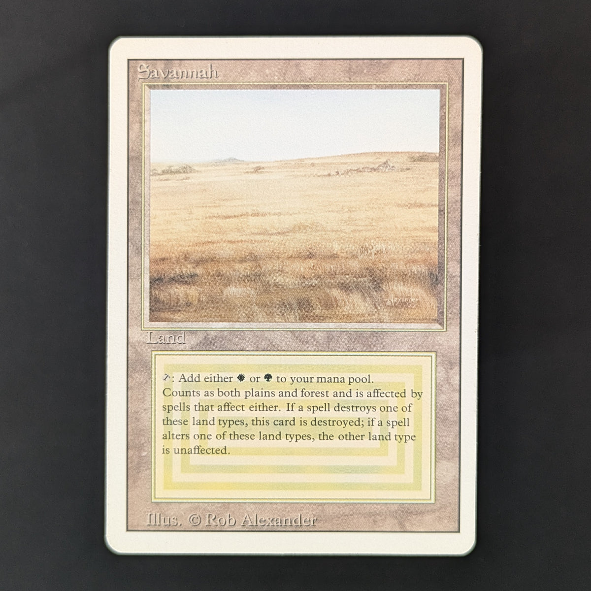MTG Singles - Savannah - Revised - LP - 36218