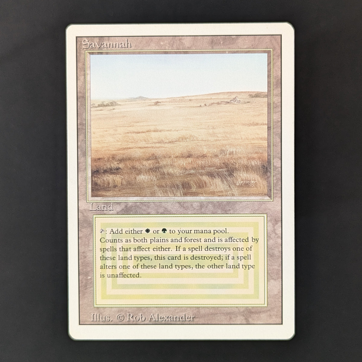 MTG Singles - Savannah - Revised - PL - 36220