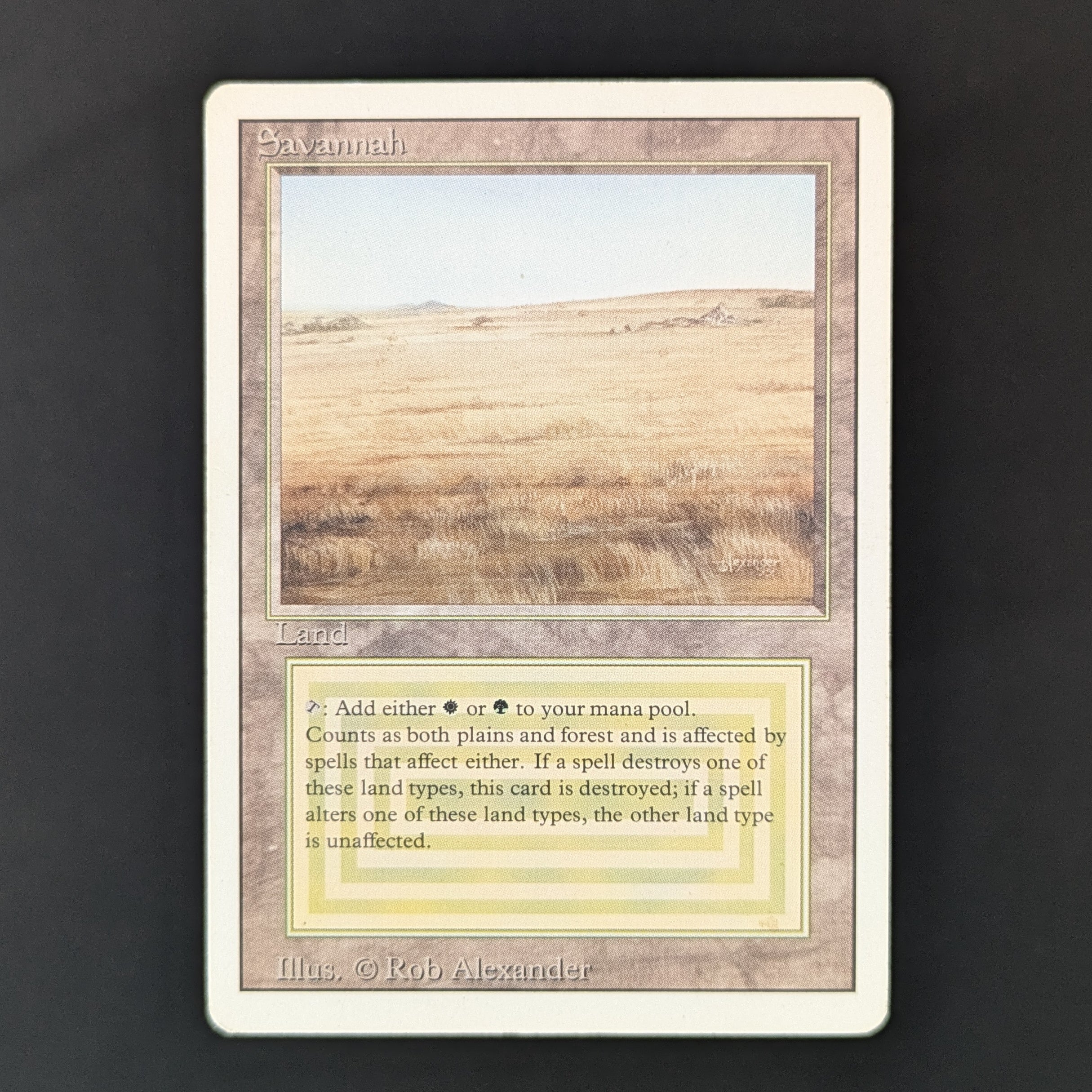 Savannah - Revised