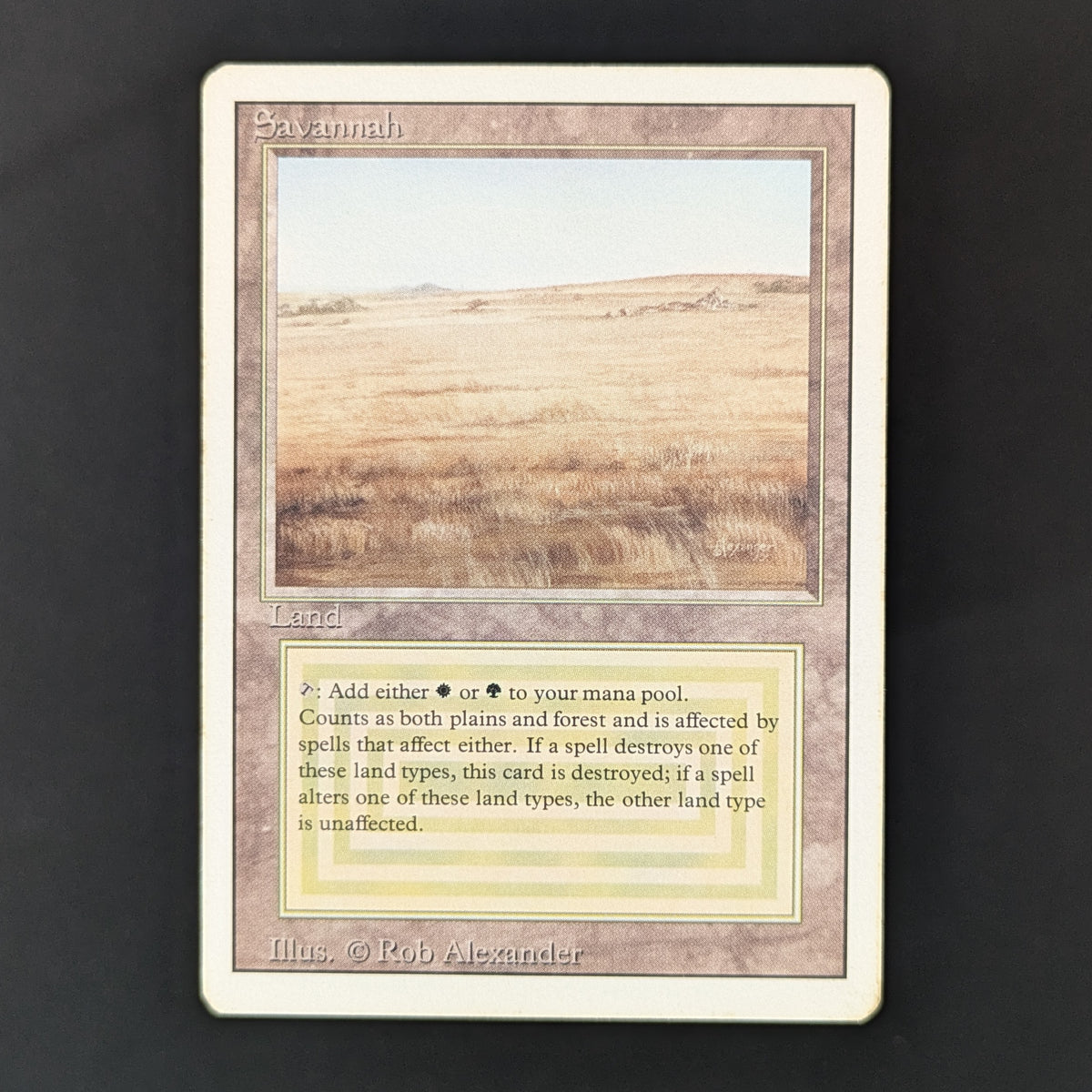 MTG Singles - Savannah - Revised - PL - 36224