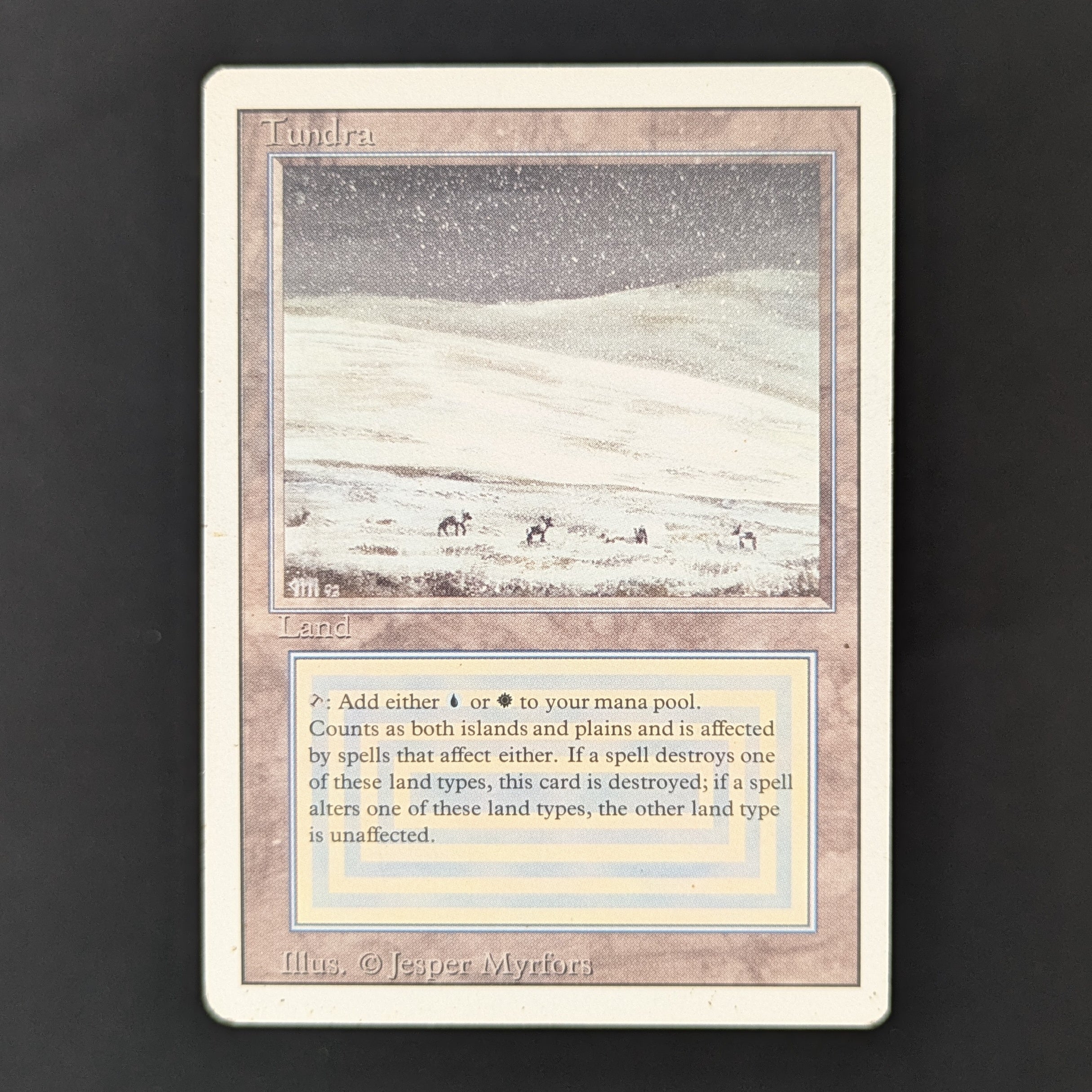 MTG Revised Tundra 英語版 CGC8鑑定品 3ED Tundra - Revised