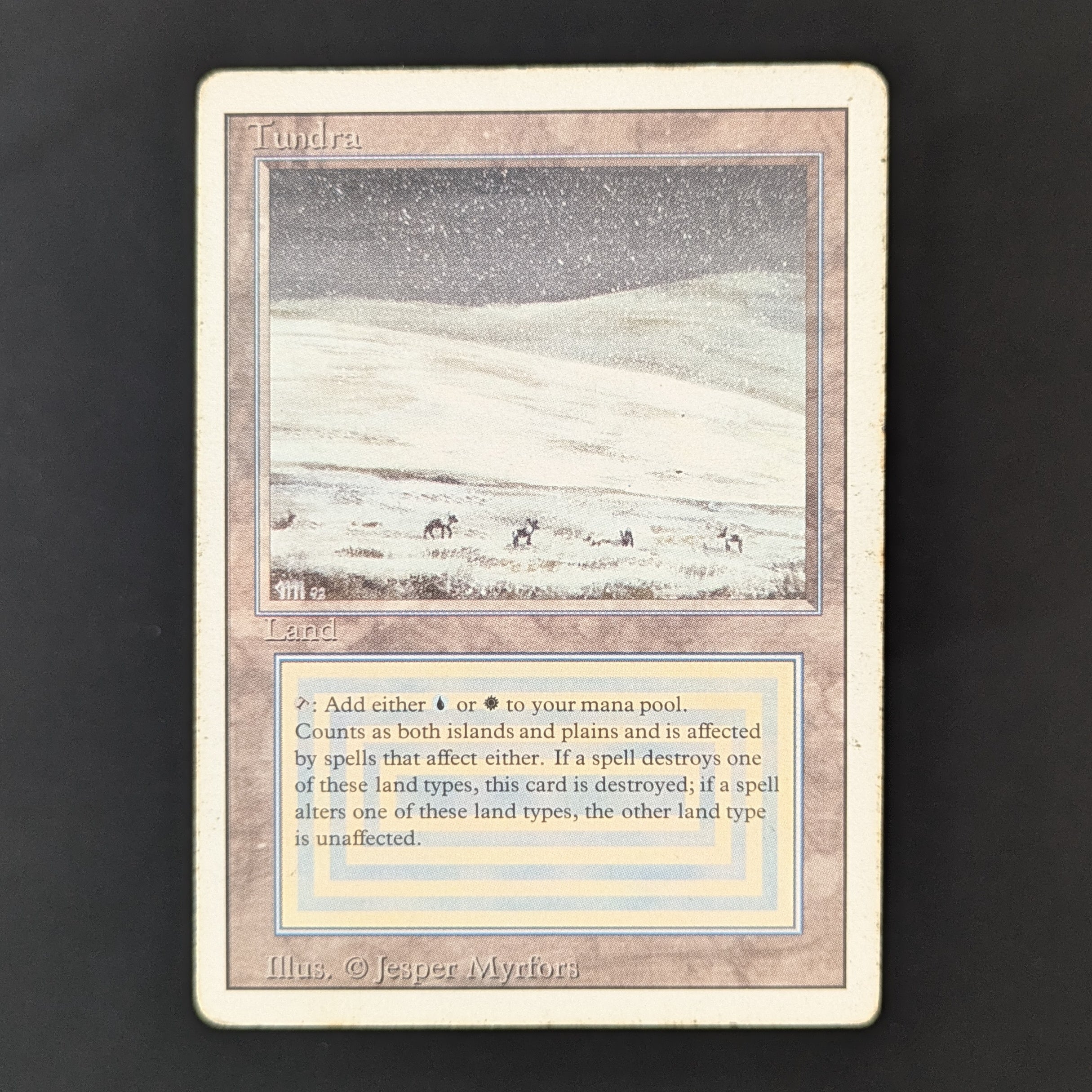 MTG Revised Tundra 英語版 CGC8鑑定品 3ED Tundra - Revised