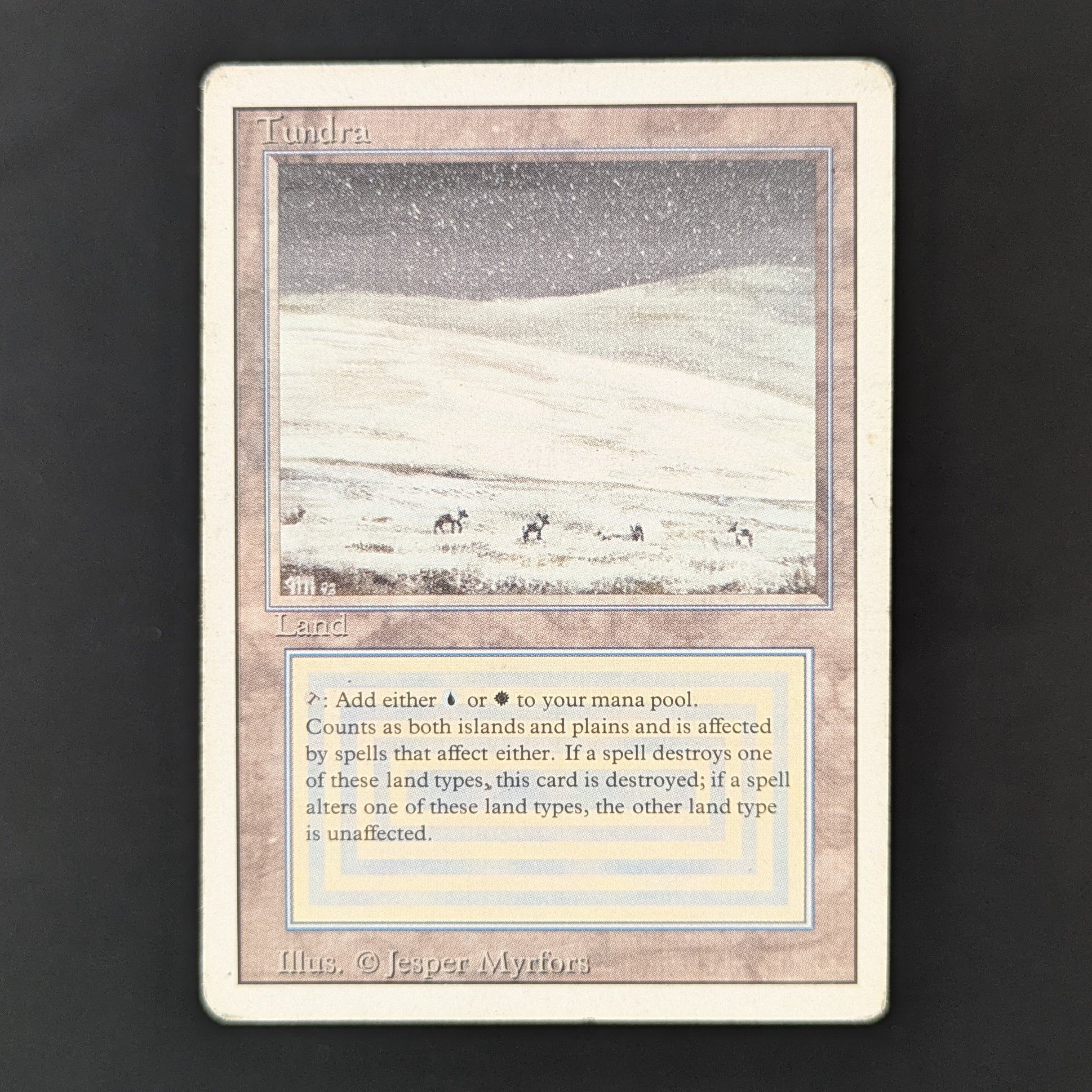 Tundra - Revised