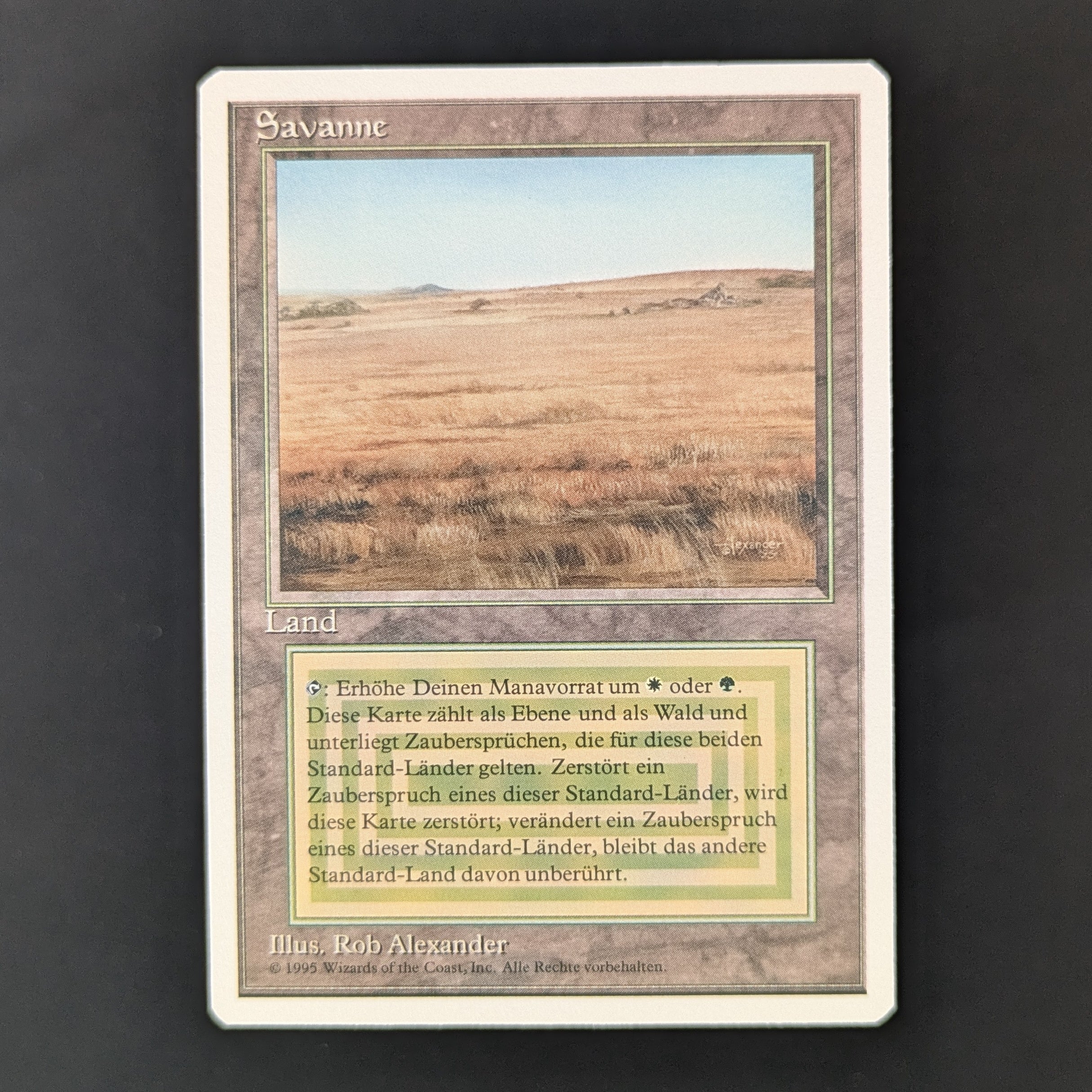 MTG Singles - Savannah - Foreign White Bordered - German - NM - 36291