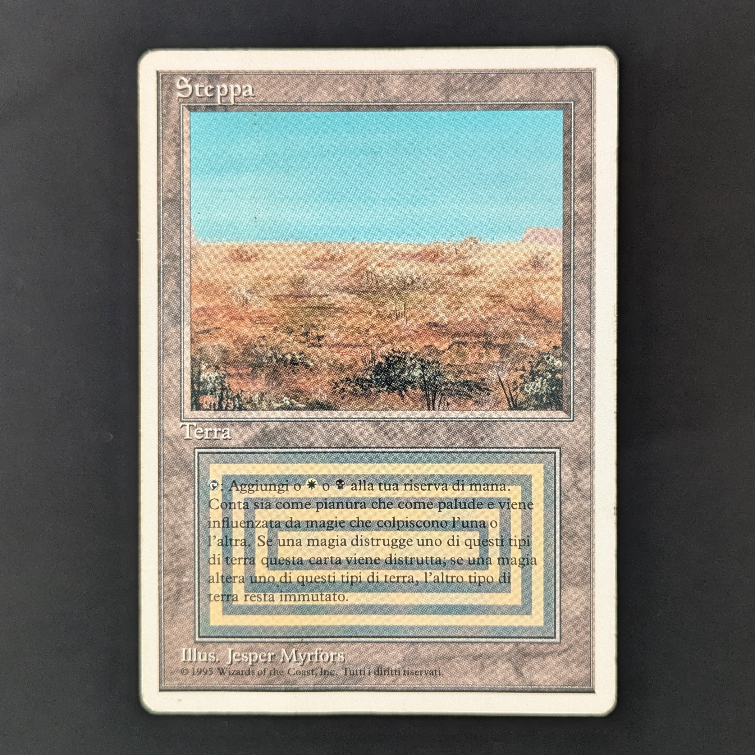 Scrubland - Foreign White Bordered