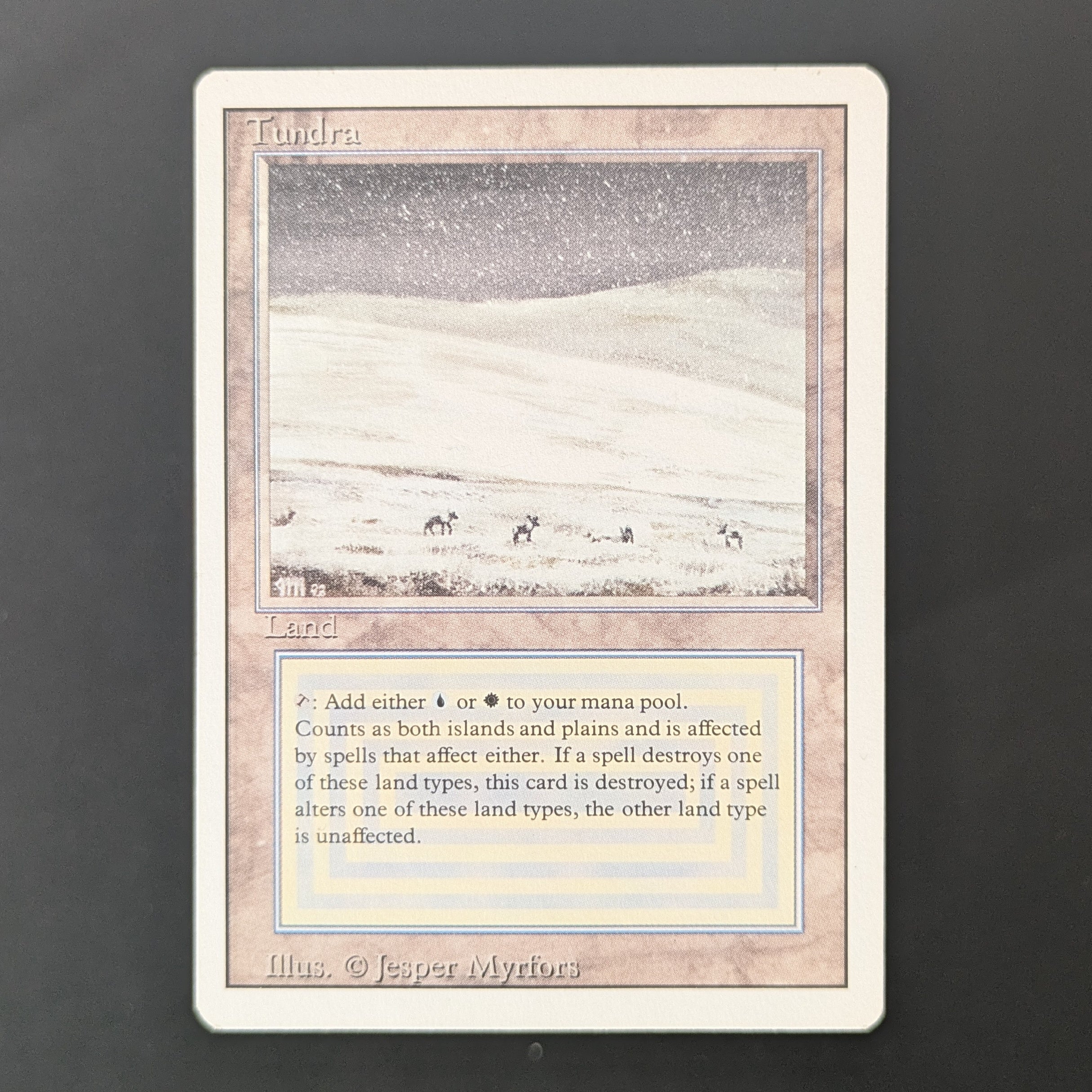 Tundra - Revised