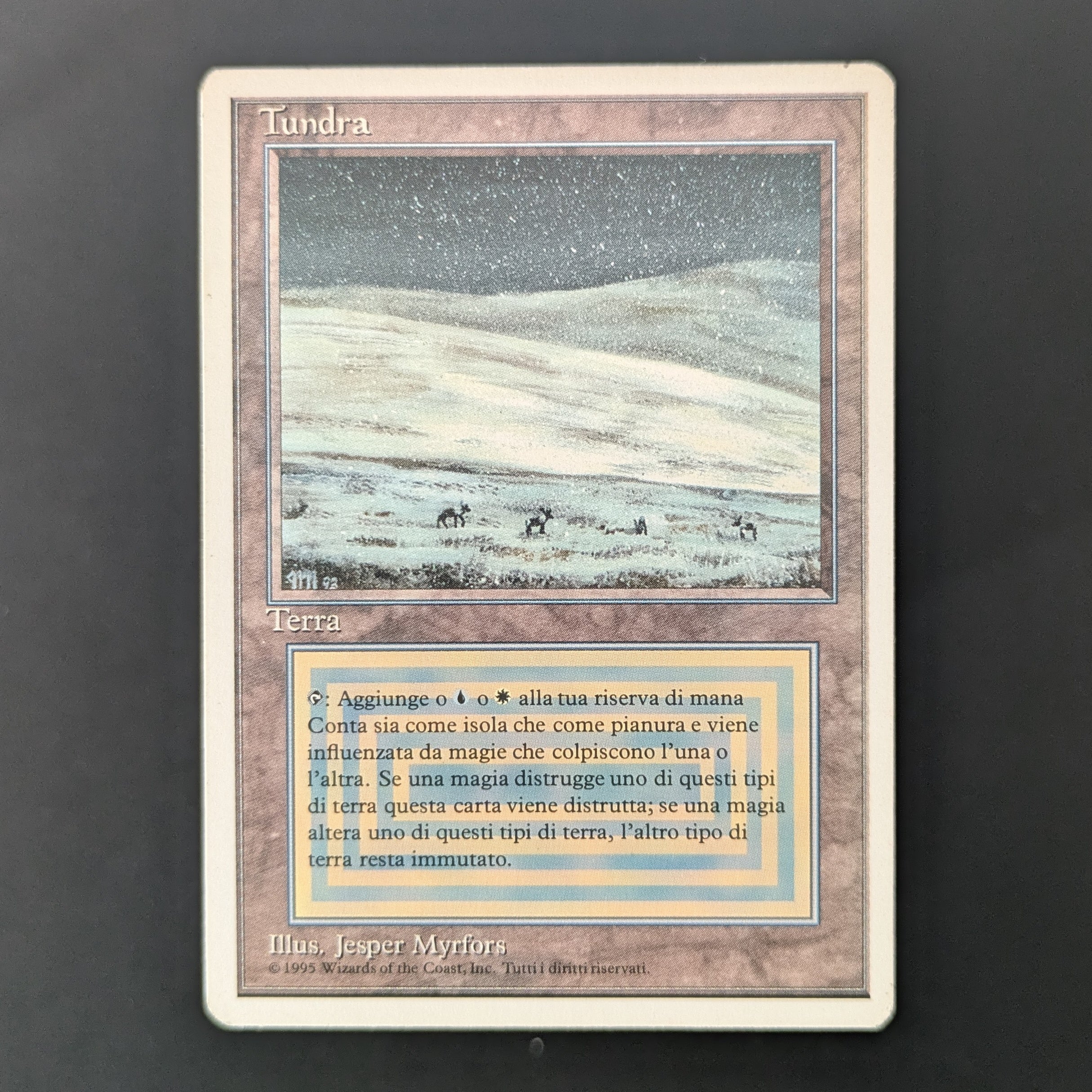 Tundra - Foreign White Bordered