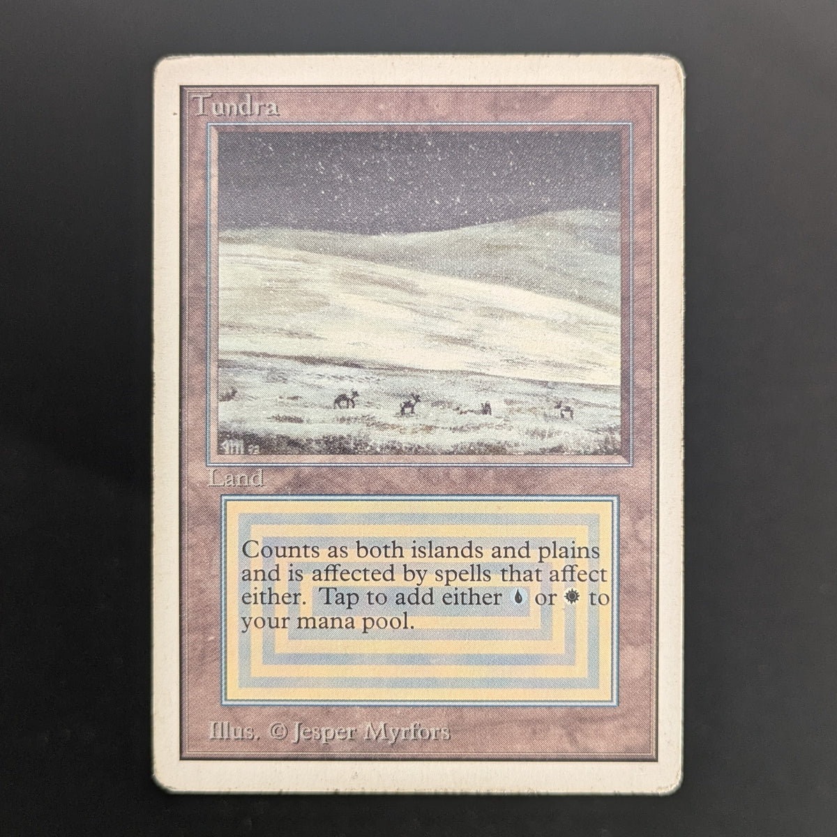 MTG Singles - Tundra - Unlimited - PL - PRESSURE MARK - 36662