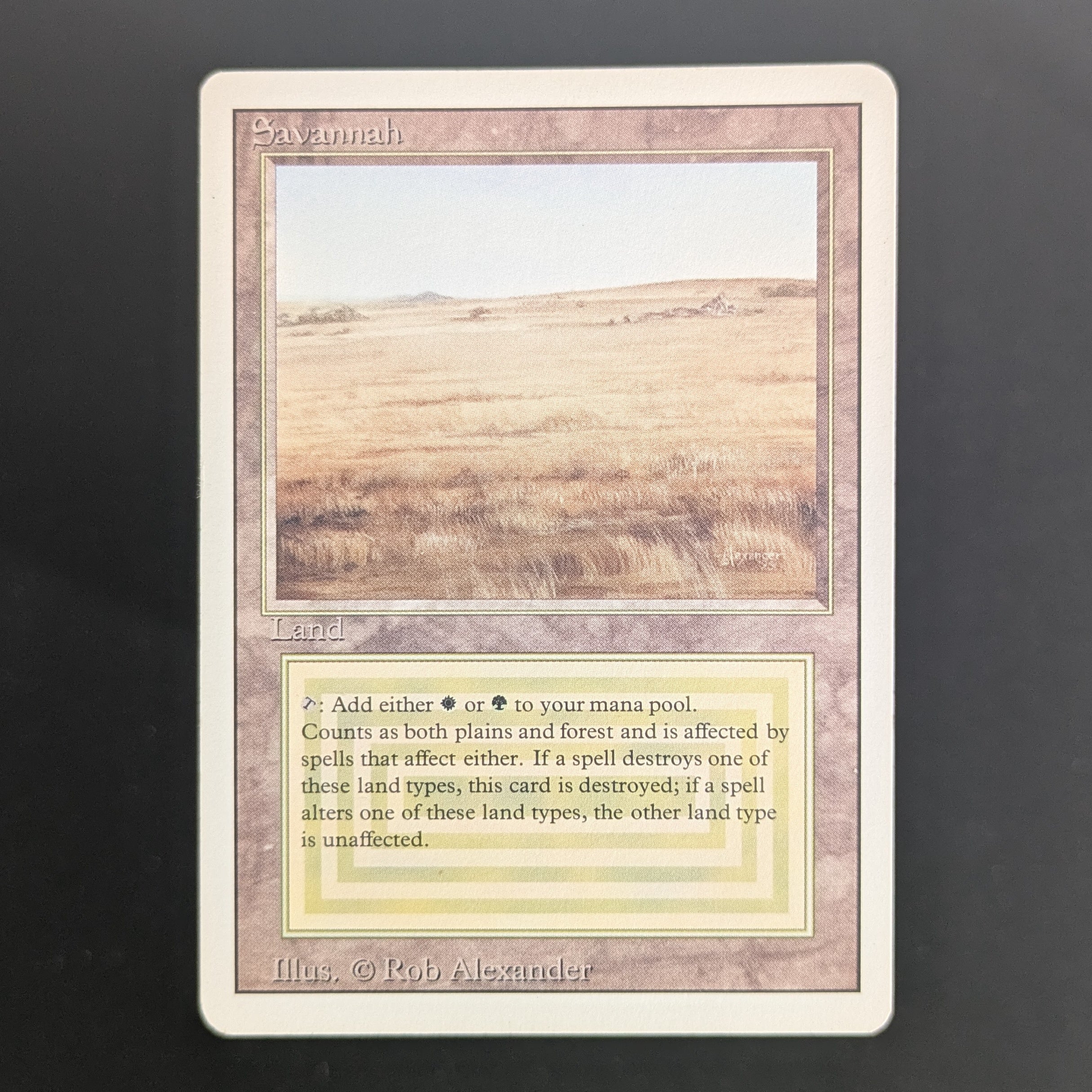 Savannah - Revised