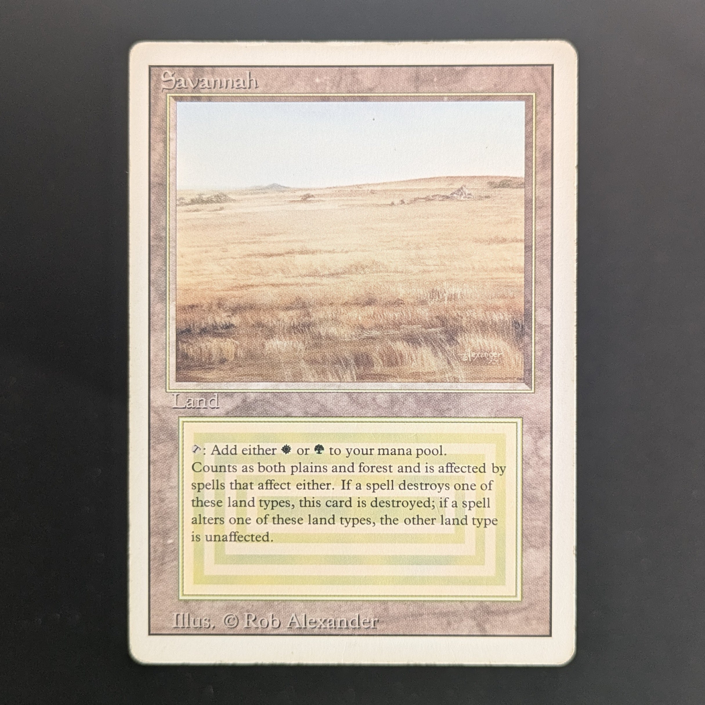 Savannah - Revised