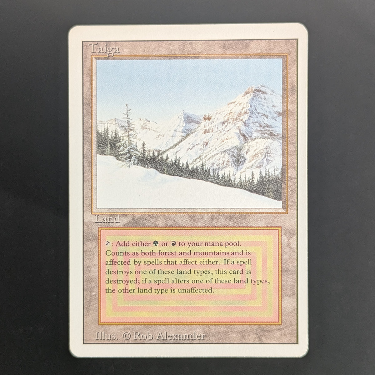 MTG Singles - Taiga - Revised - PL - 36681