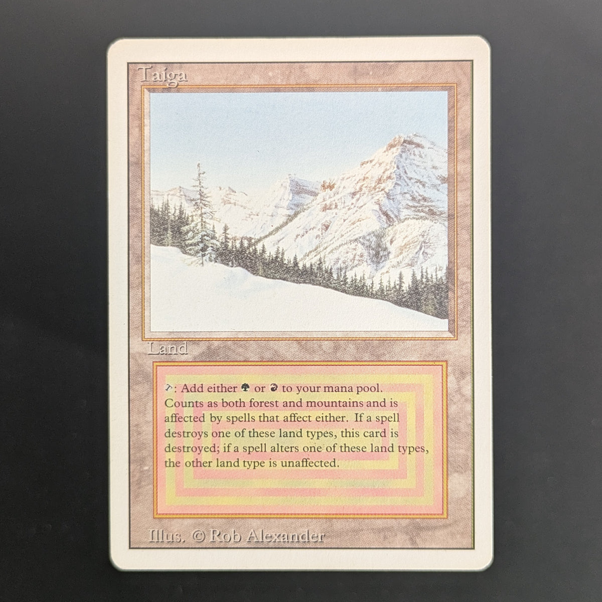 MTG Singles - Taiga - Revised - PL - 36682