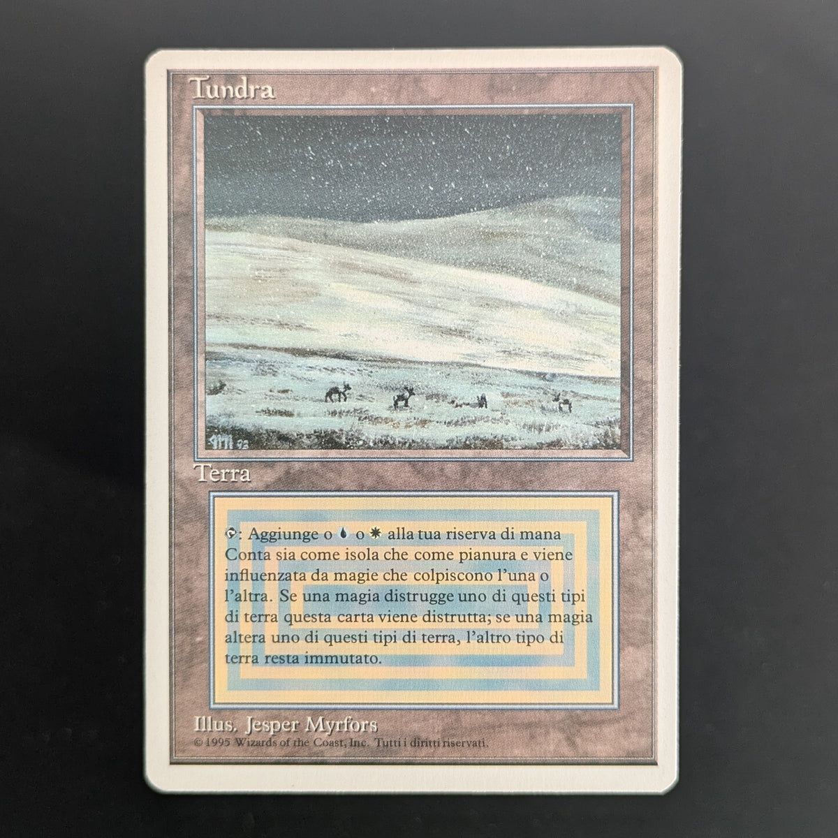 MTG Singles - Tundra - Foreign White Bordered - Italian - EX - 36702