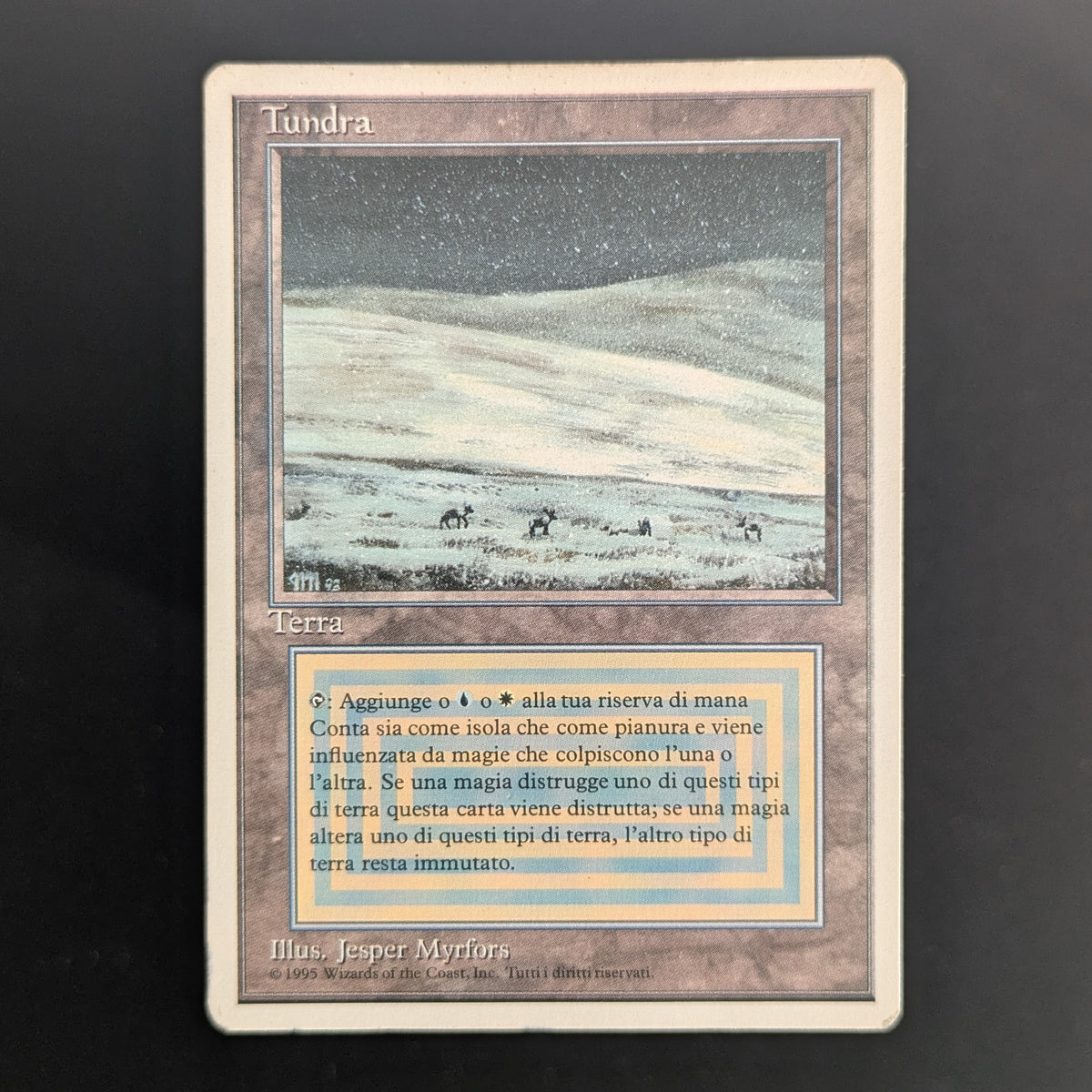 MTG Singles - Tundra - Foreign White Bordered - Italian - PL - INKED - 36704