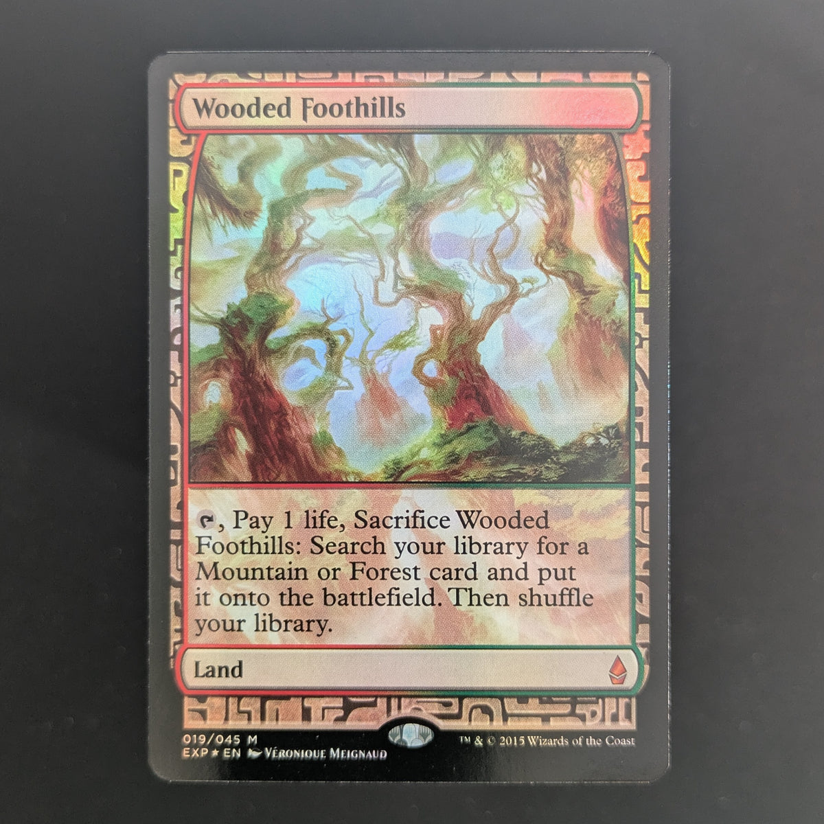 [FOIL] Wooded Foothills - Zendikar Expeditions - English - NM